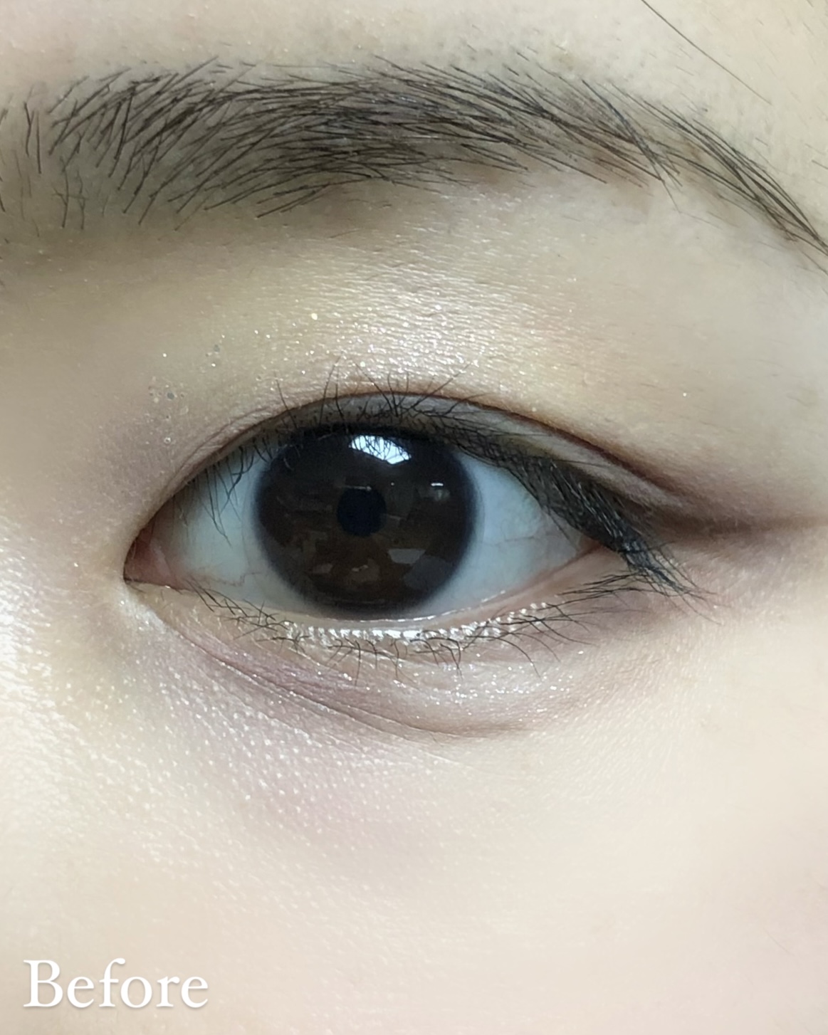 피드이미지정보-2