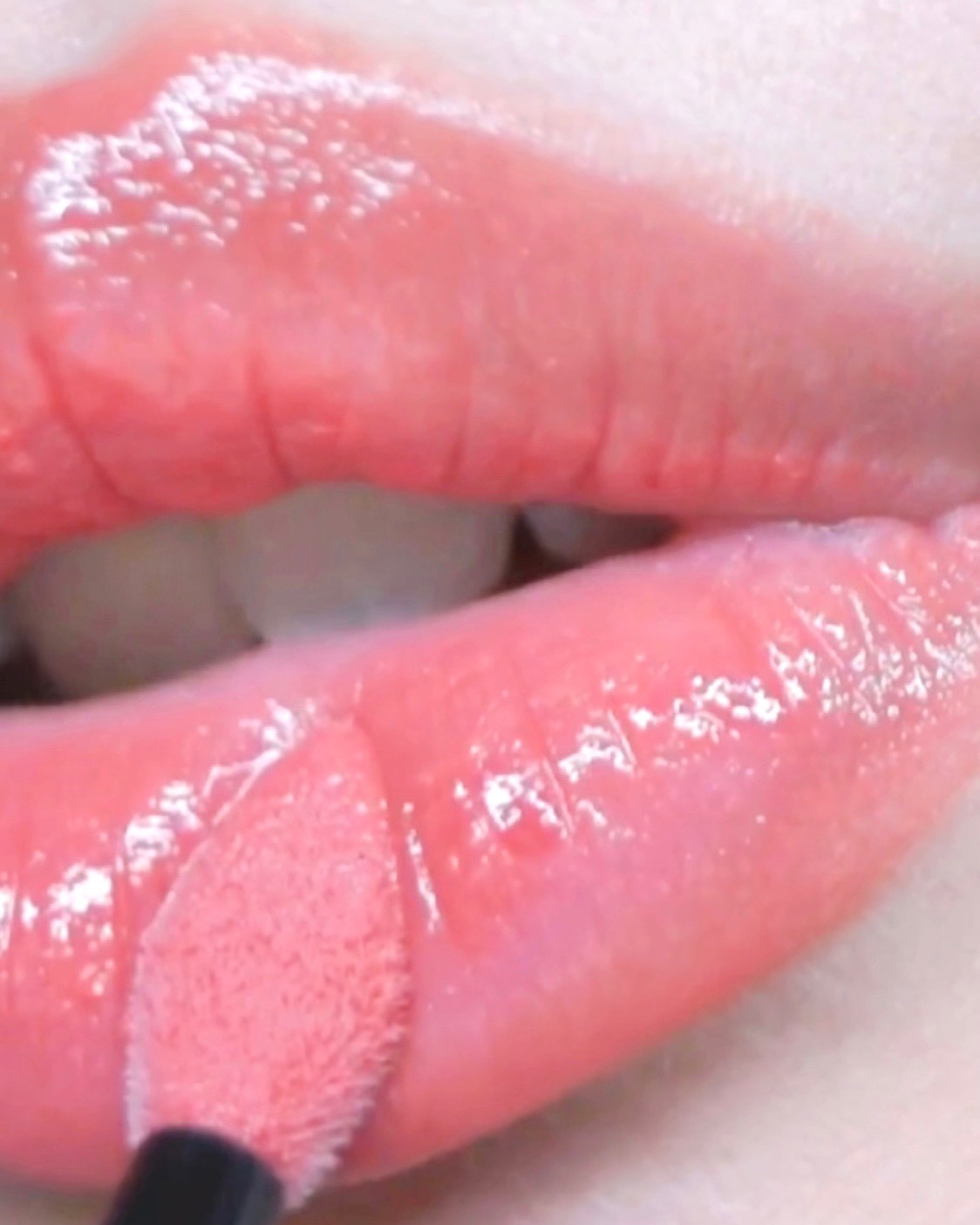 피드이미지정보-0