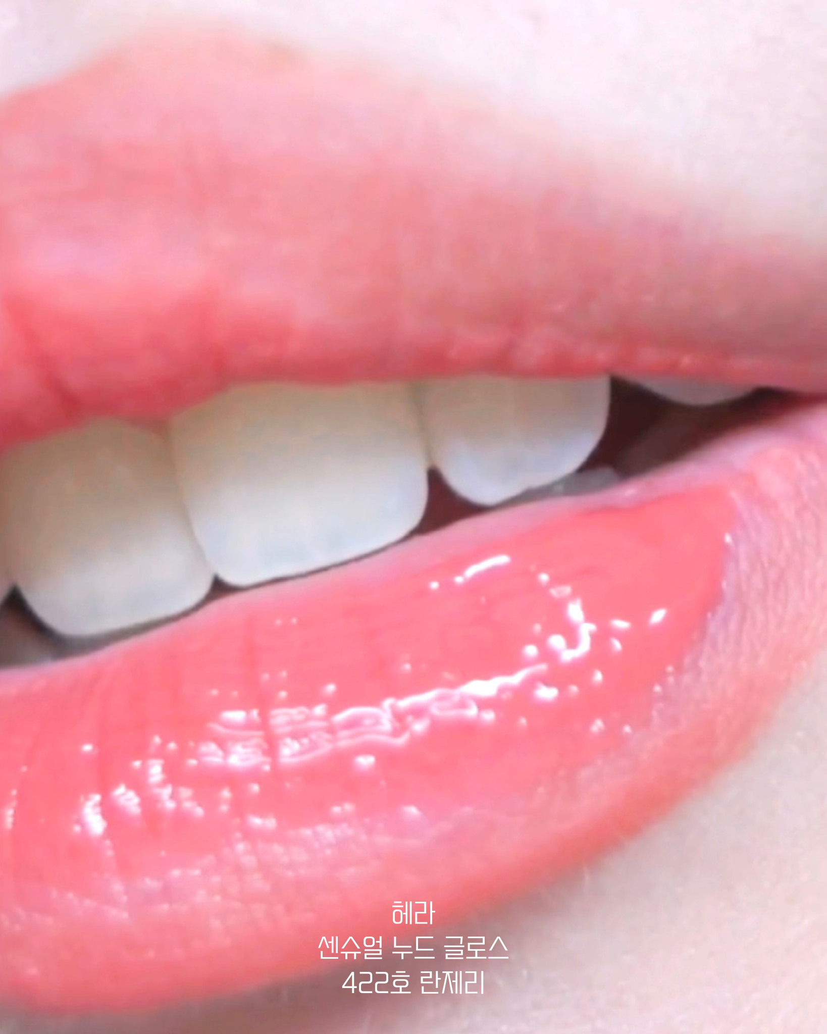 피드이미지정보-3