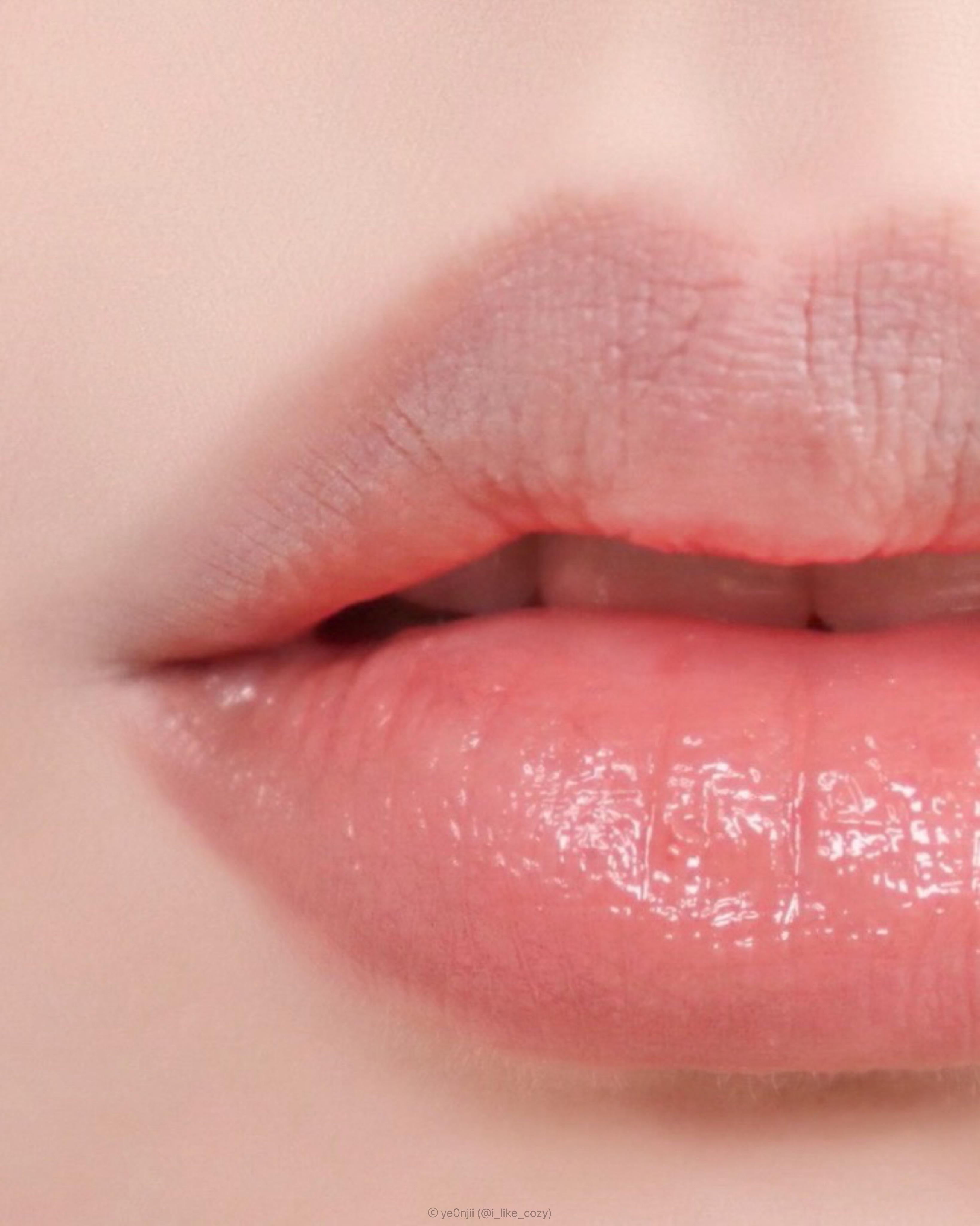 피드이미지정보-4