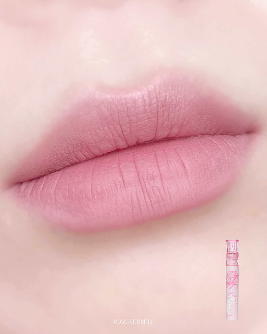 피드이미지정보-4