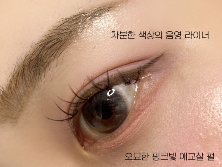 피드이미지정보-6