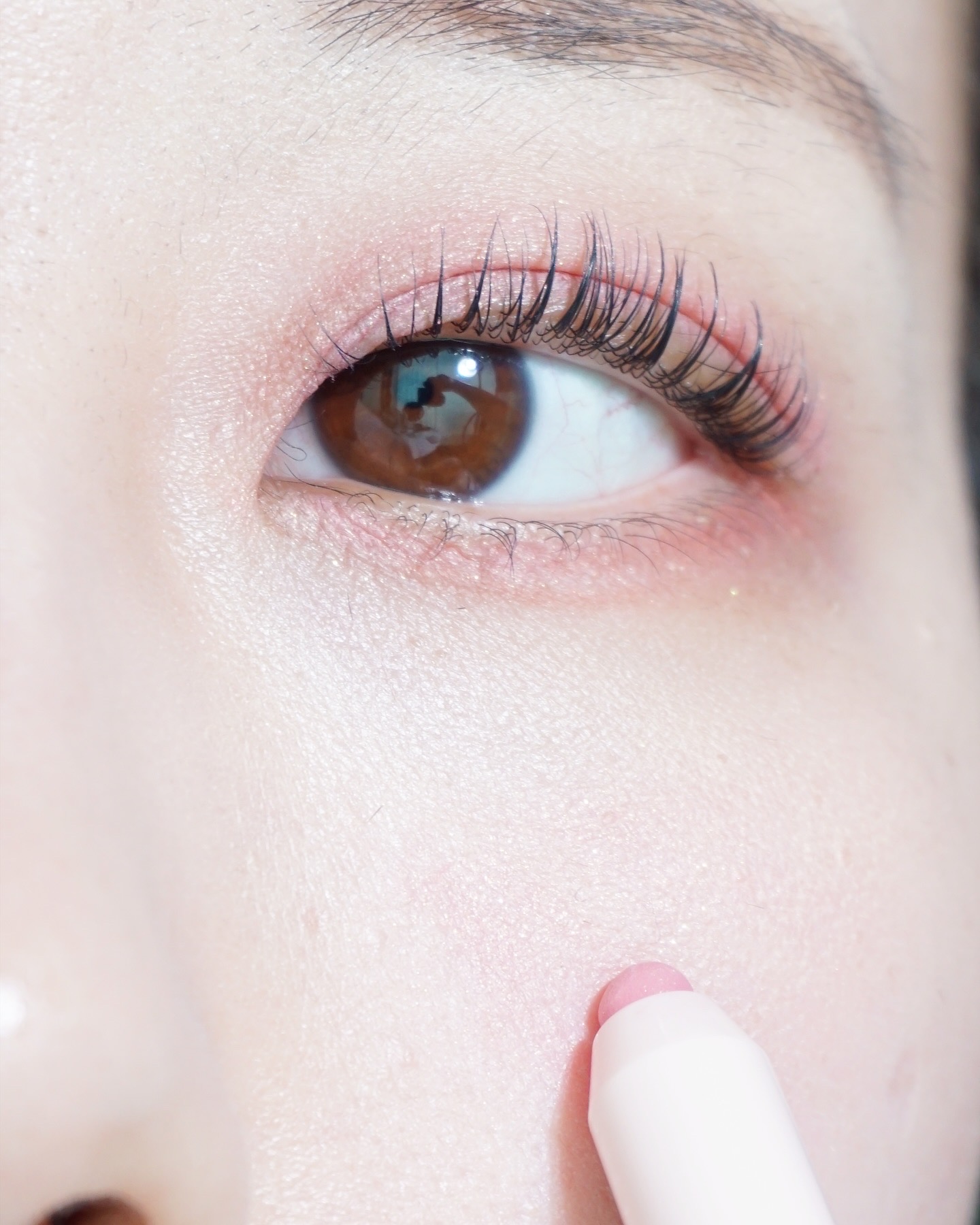 피드이미지정보-5