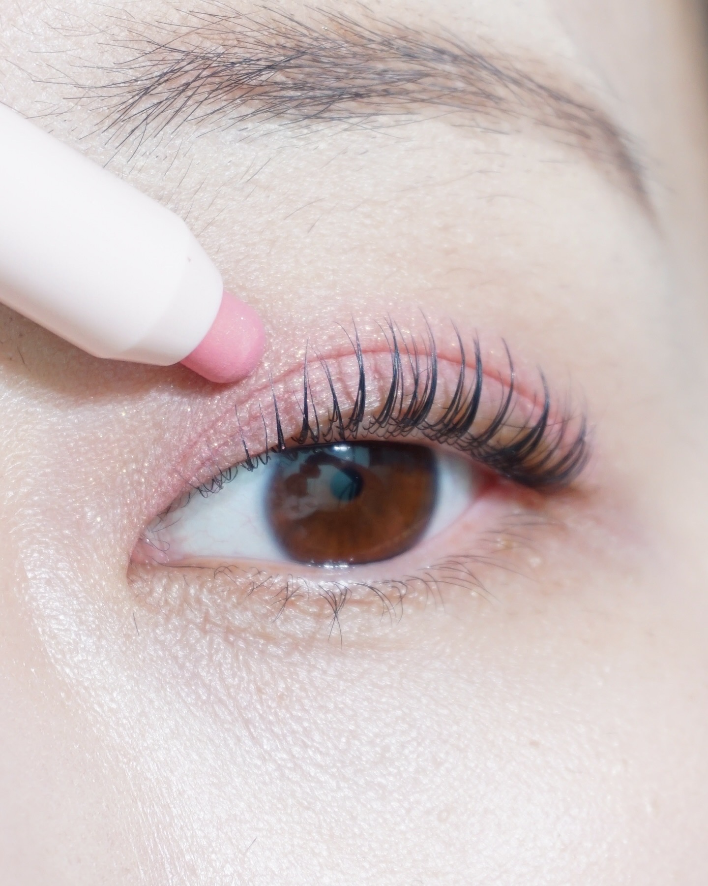 피드이미지정보-2