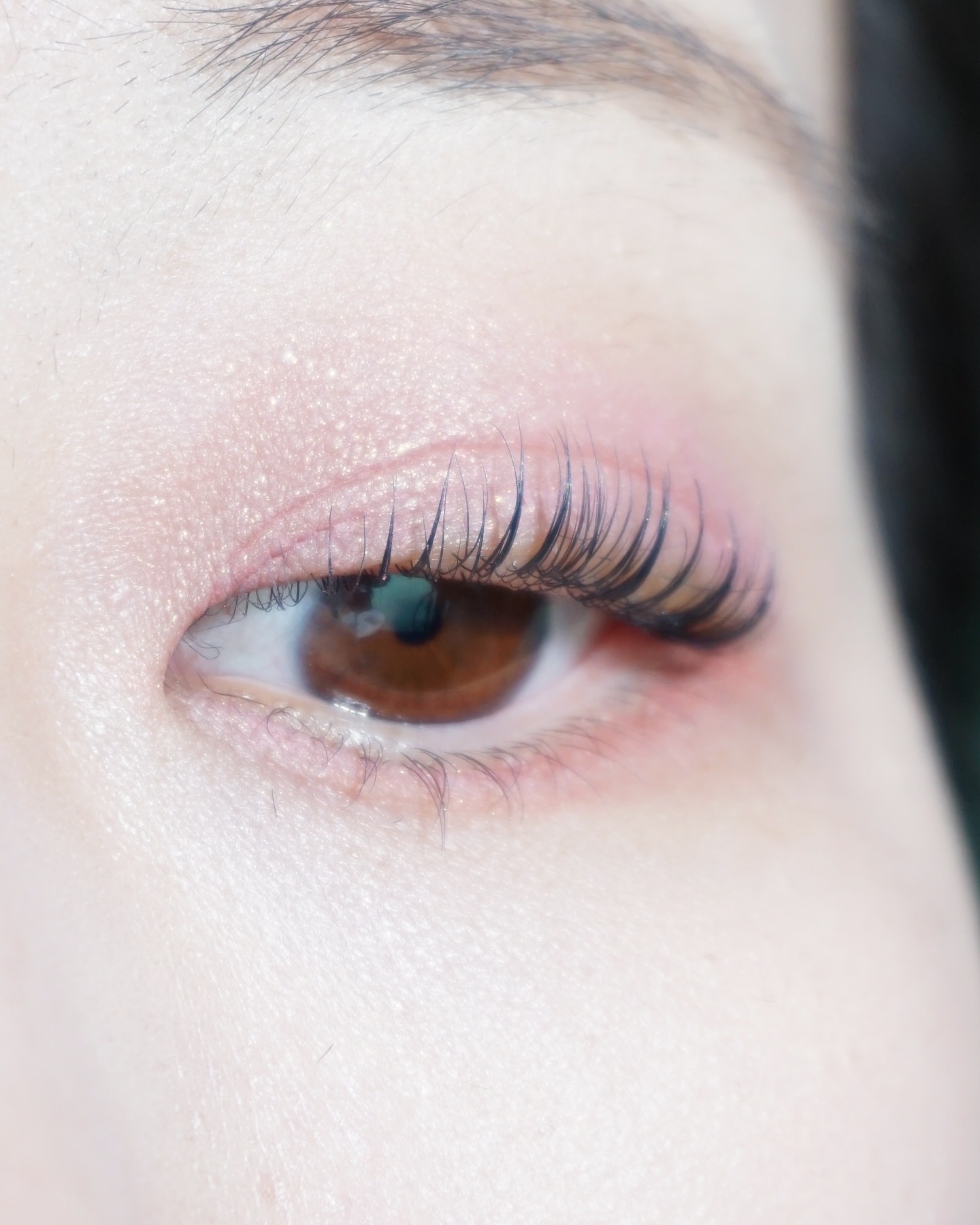 피드이미지정보-3