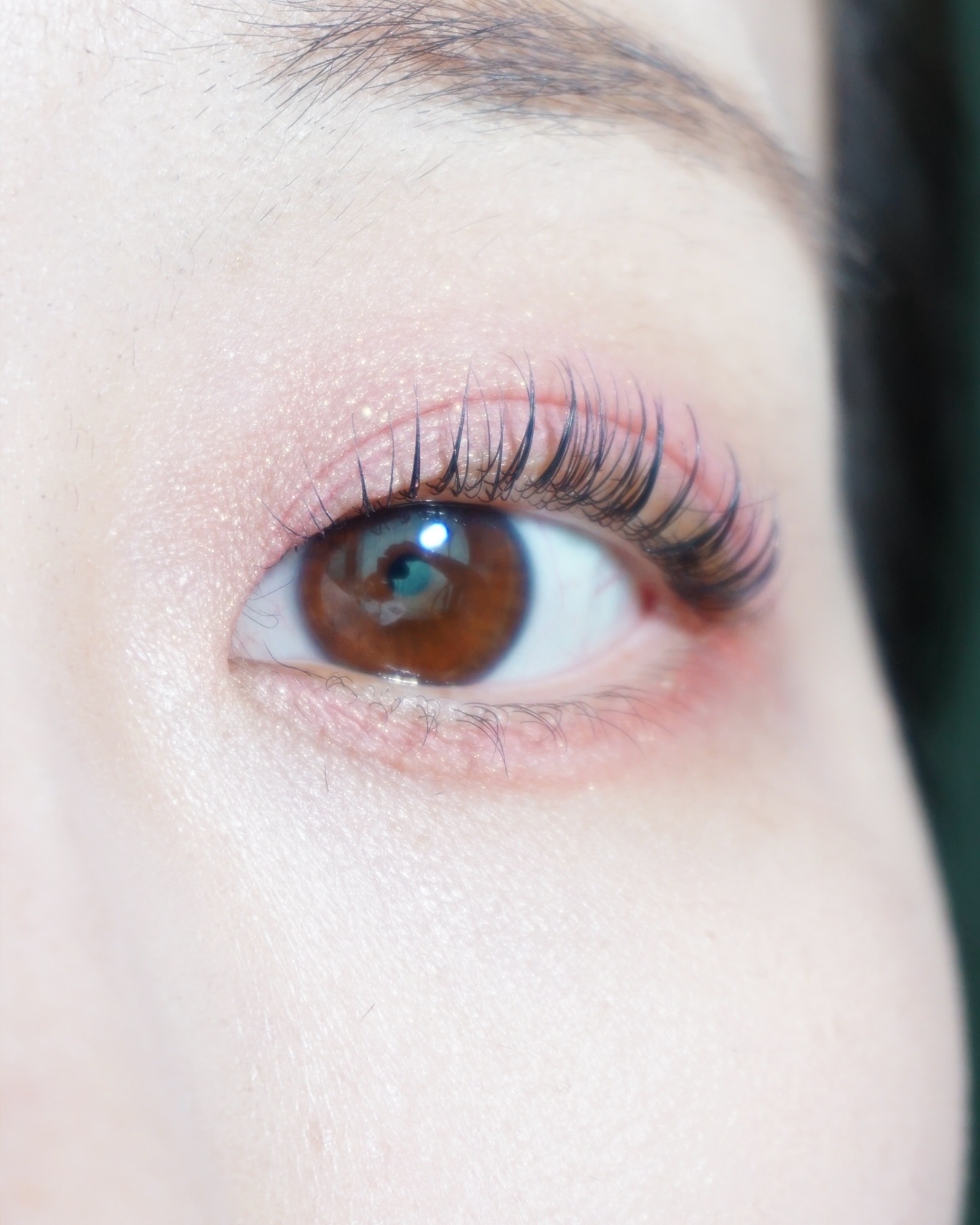 피드이미지정보-4