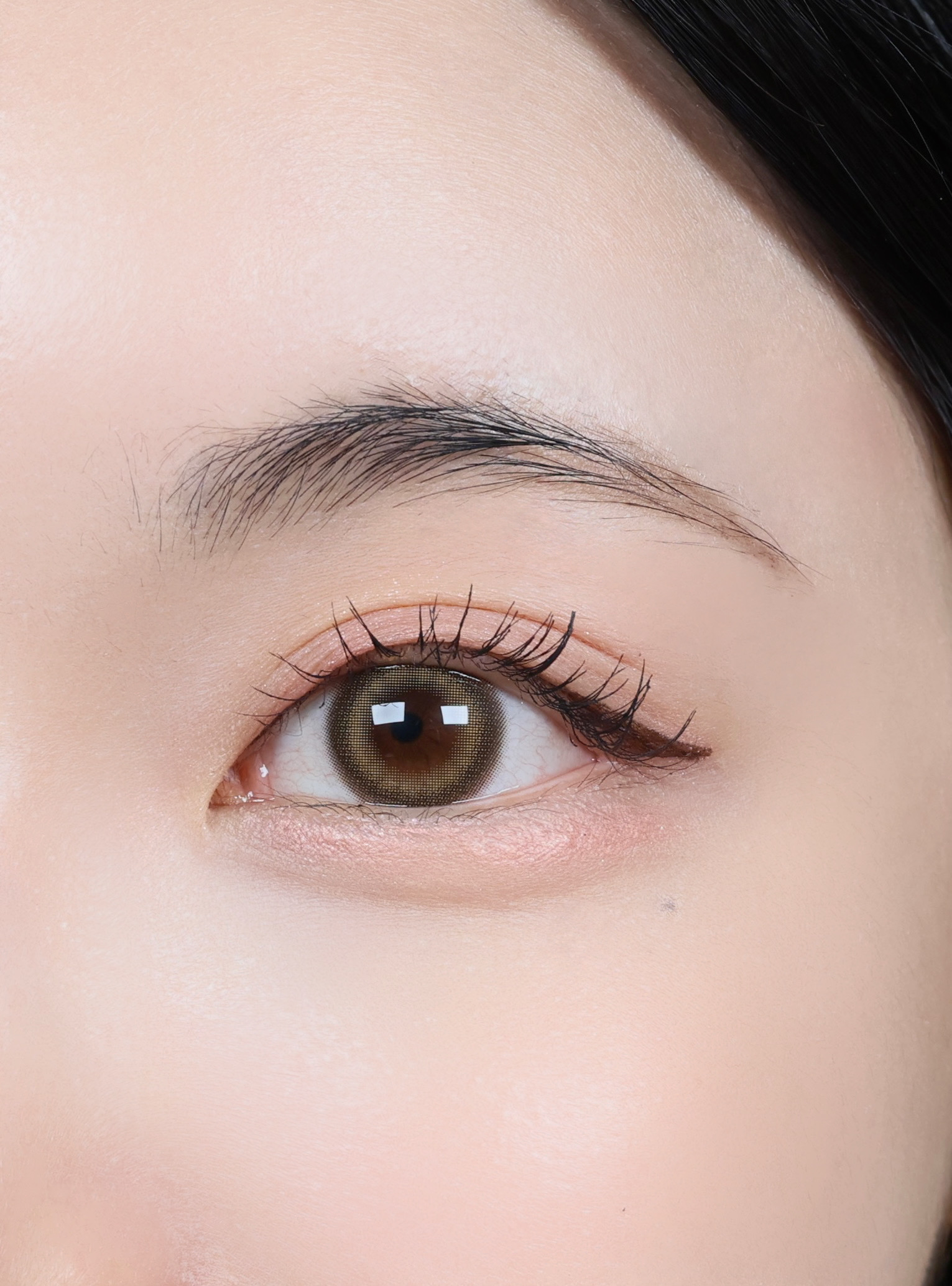 피드이미지정보-2