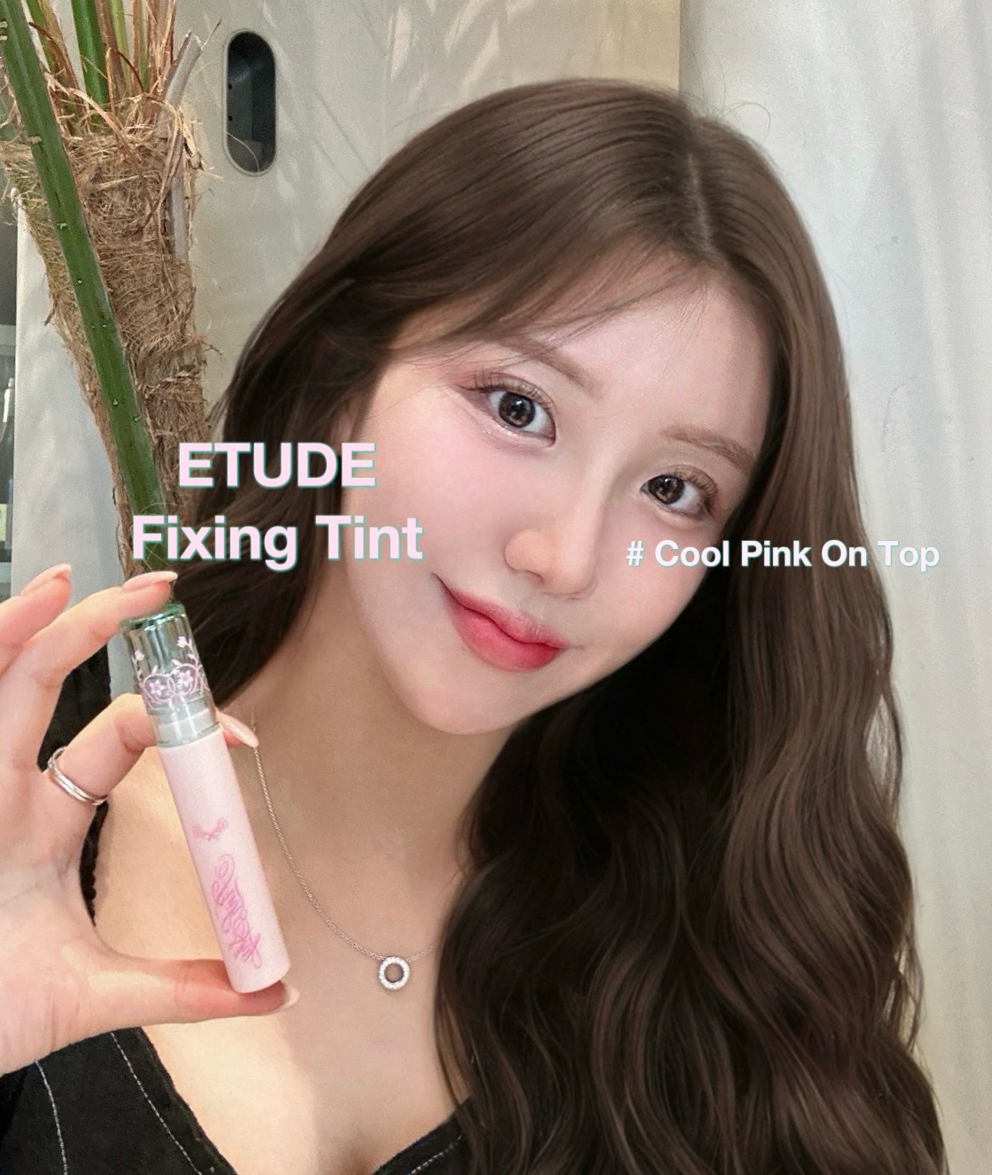 피드이미지정보-0