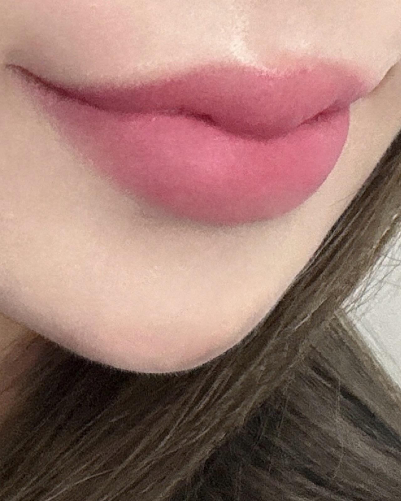 피드이미지정보-2