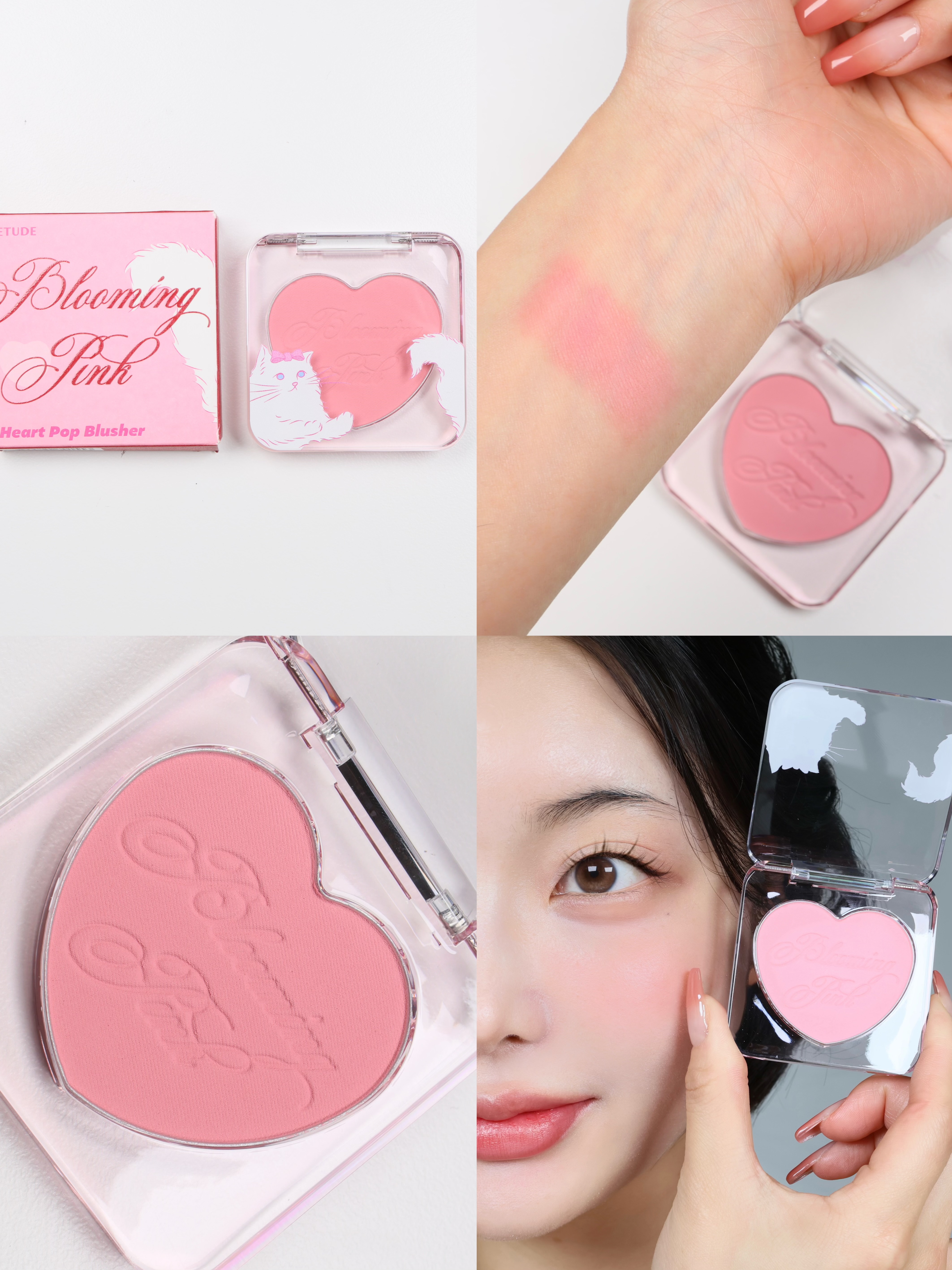 피드이미지정보-0