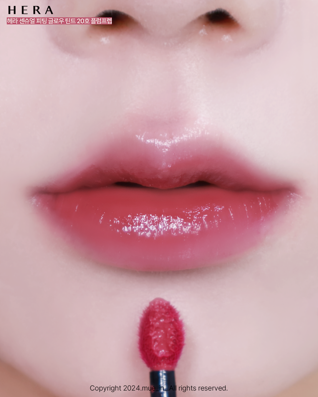 피드이미지정보-2