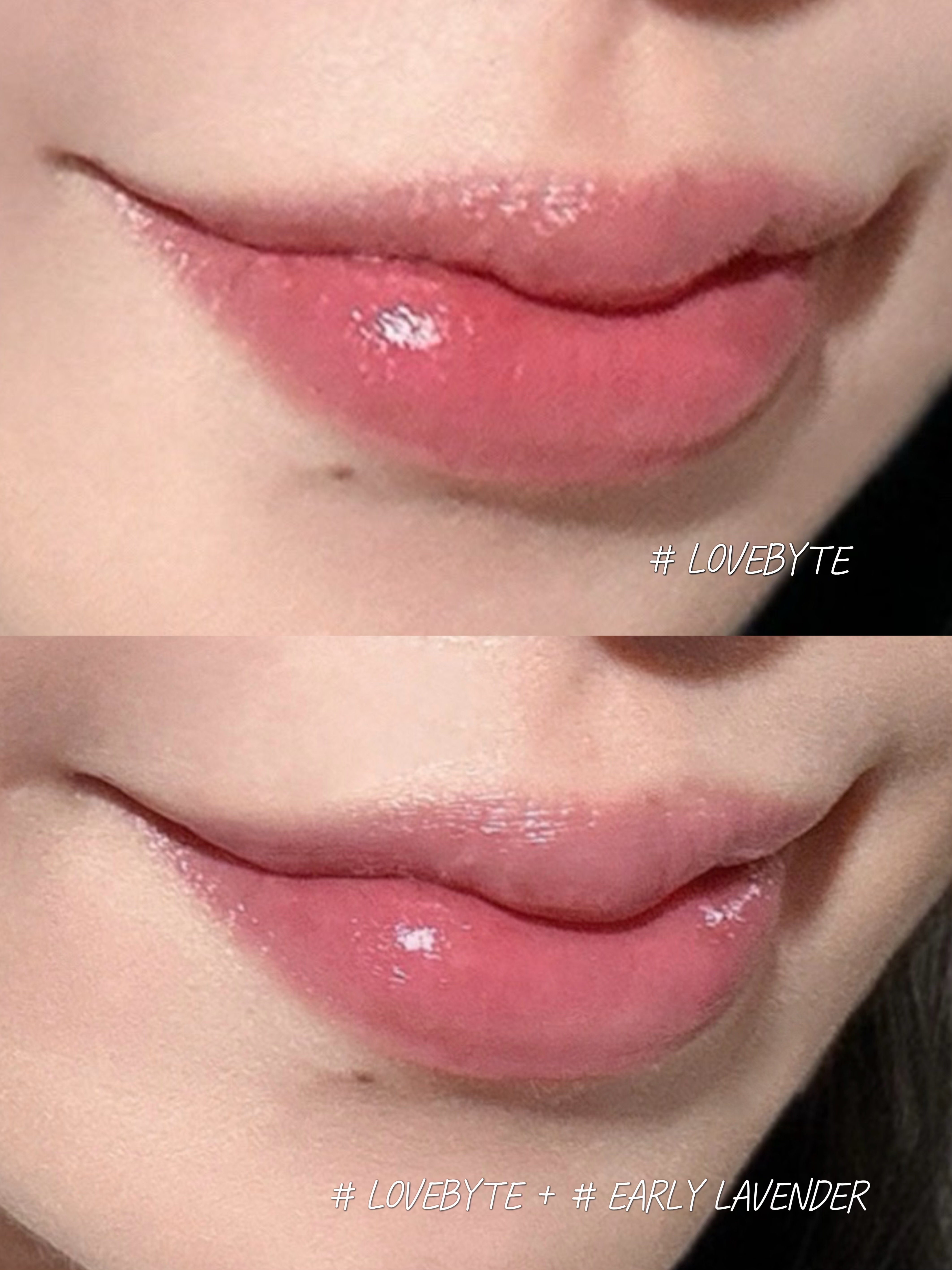 피드이미지정보-1