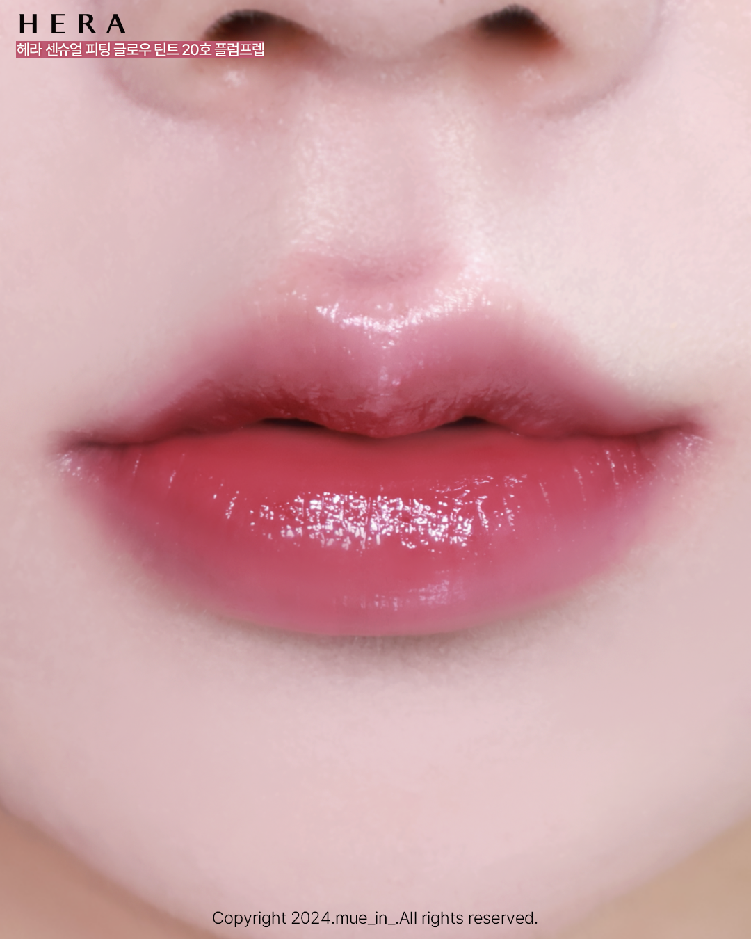 피드이미지정보-1