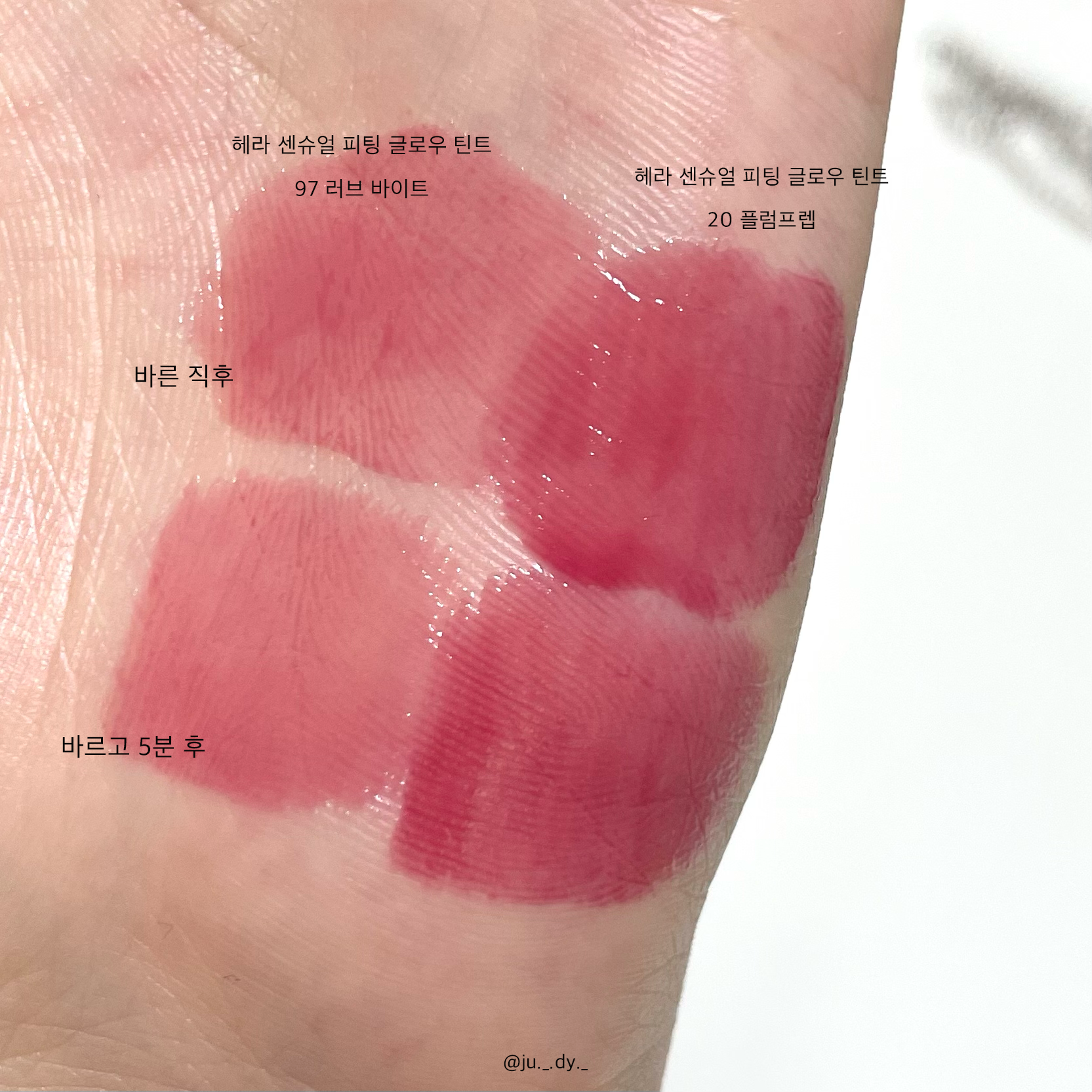 피드이미지정보-4