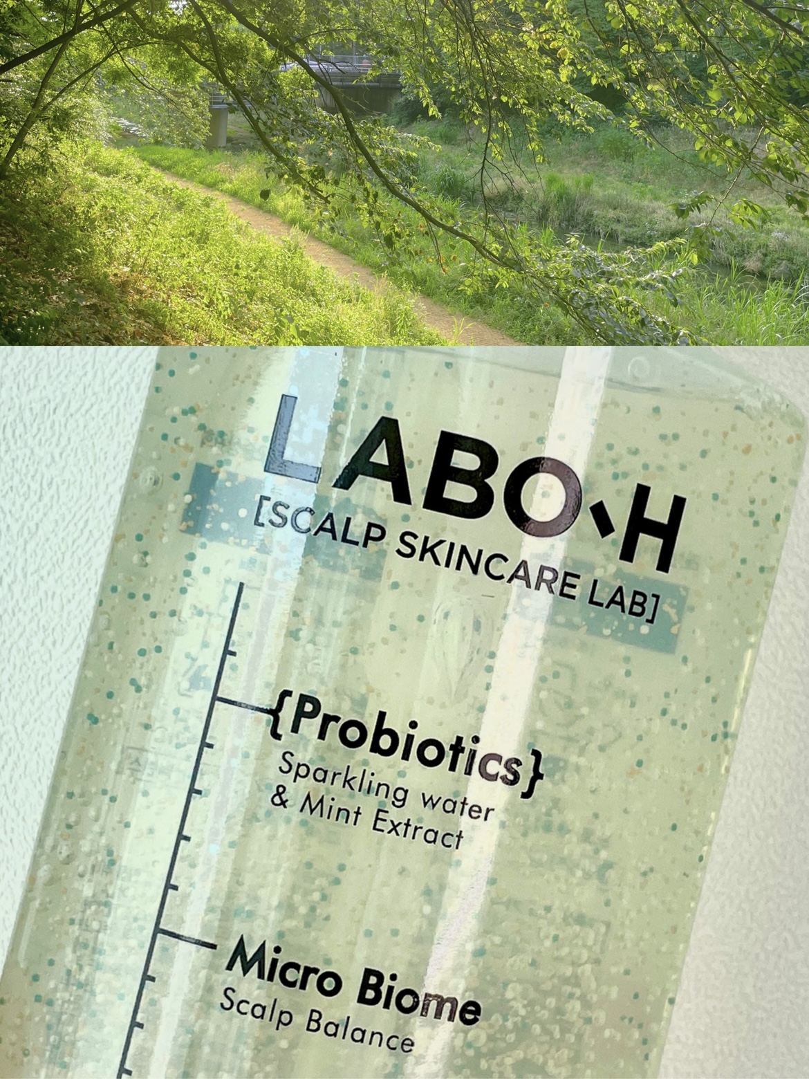 피드이미지정보-0