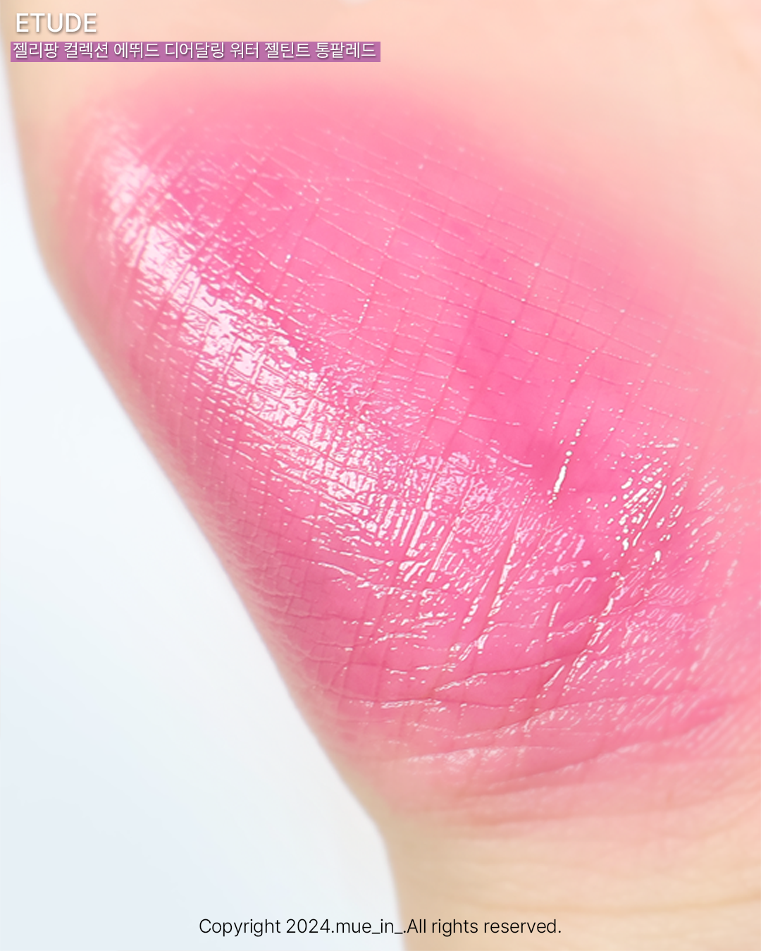 피드이미지정보-5