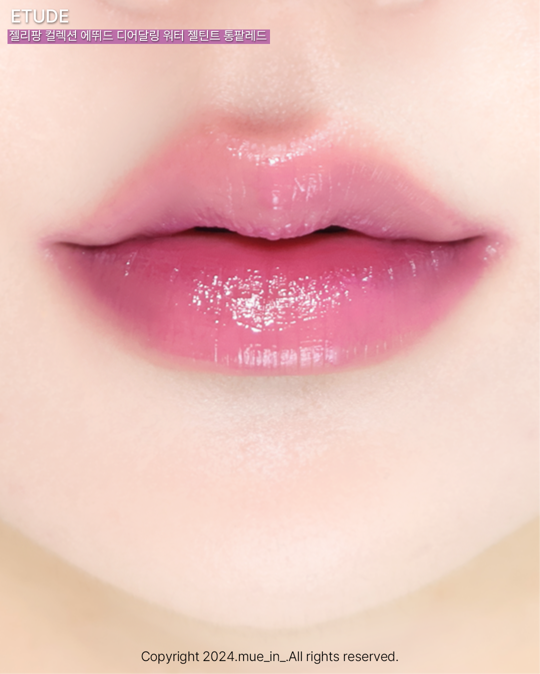 피드이미지정보-3