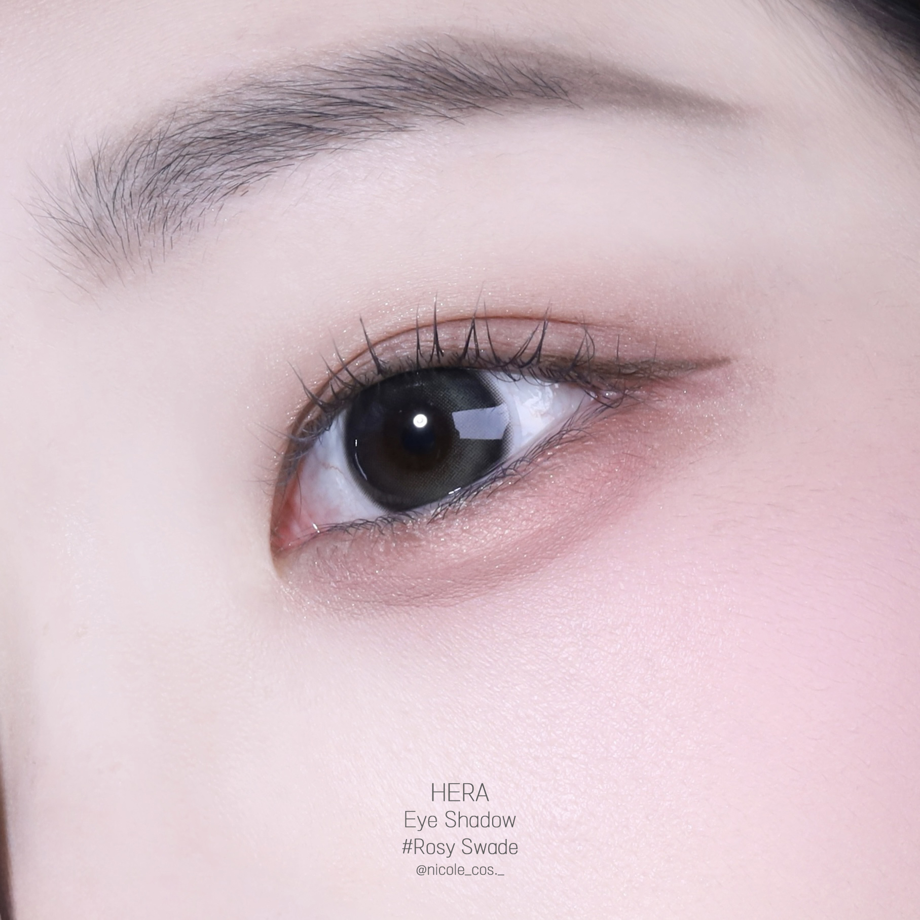 피드이미지정보-2