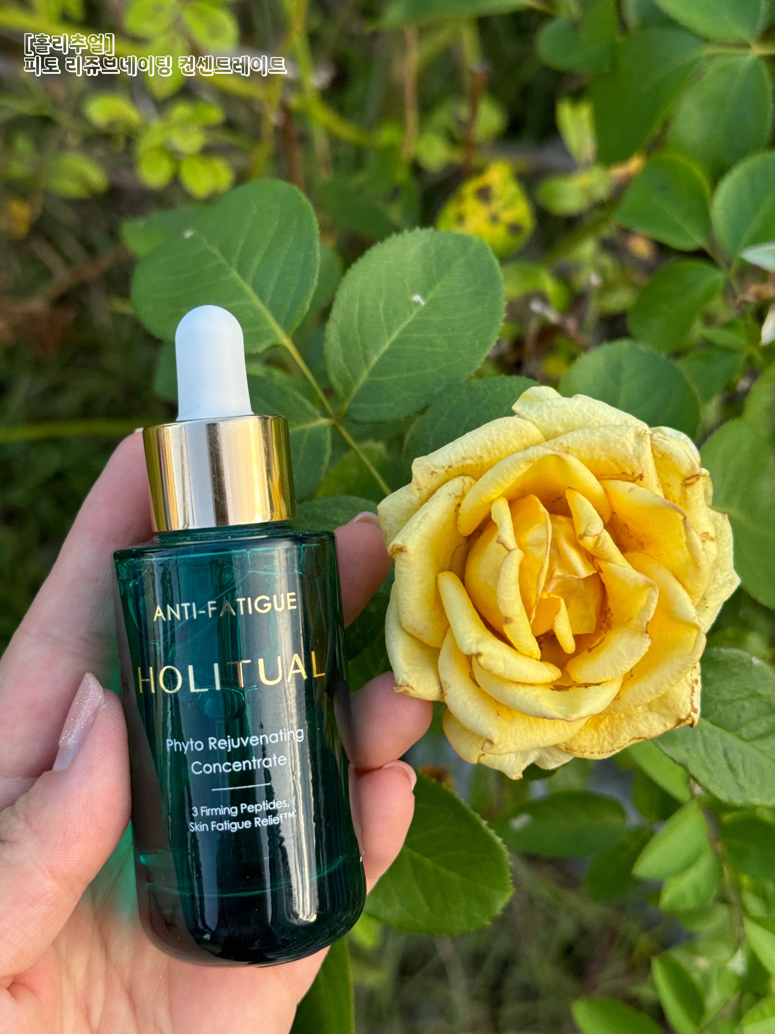 피드이미지정보-0