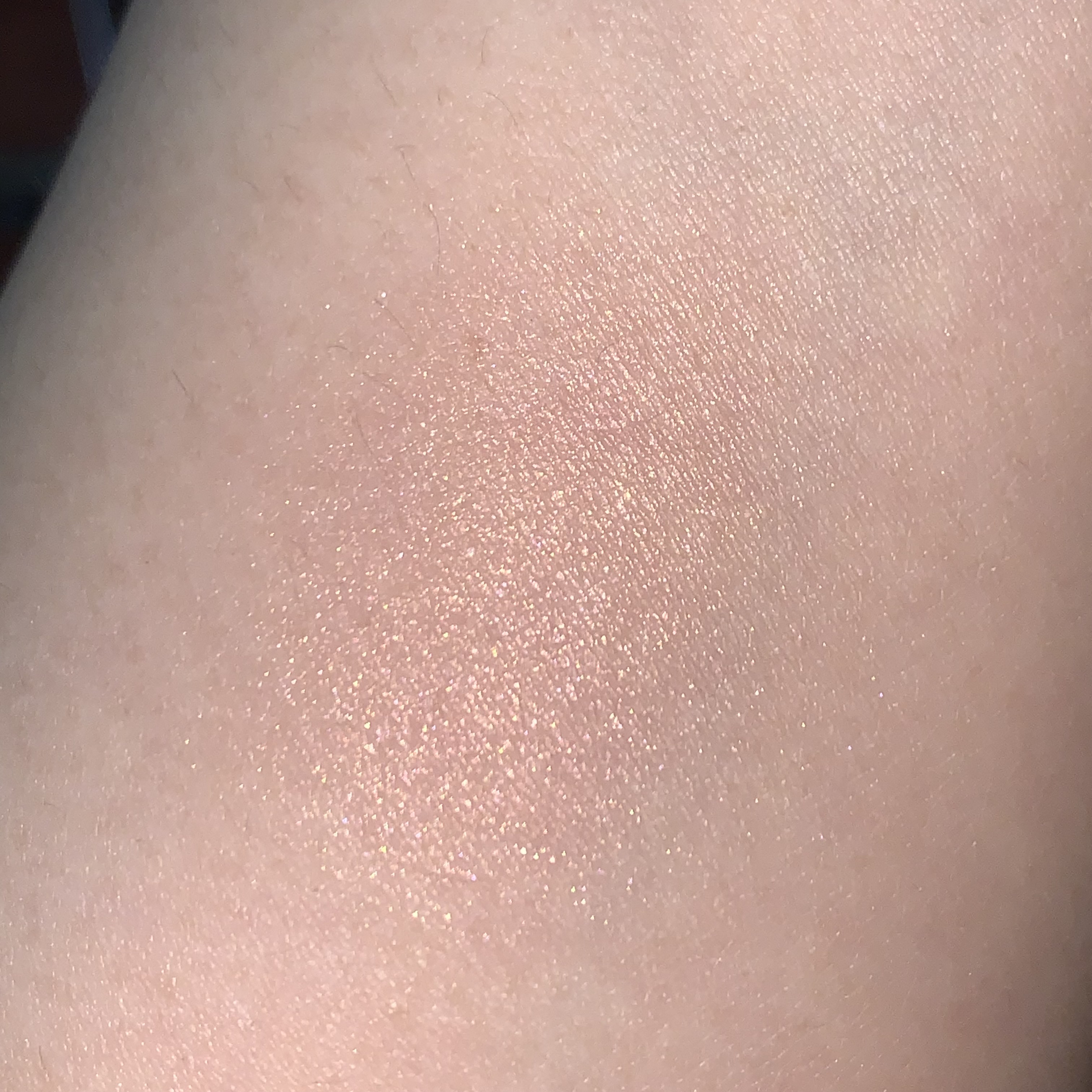 피드이미지정보-3