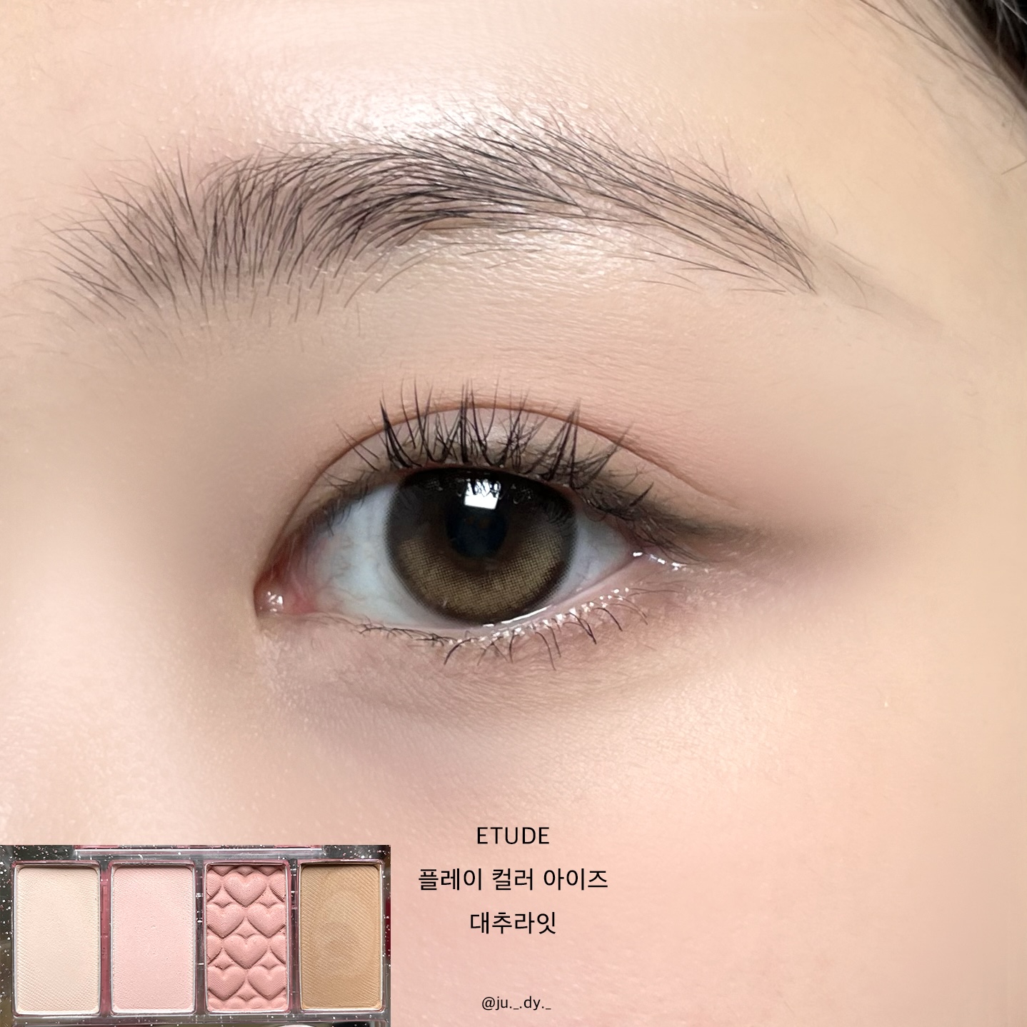 피드이미지정보-1