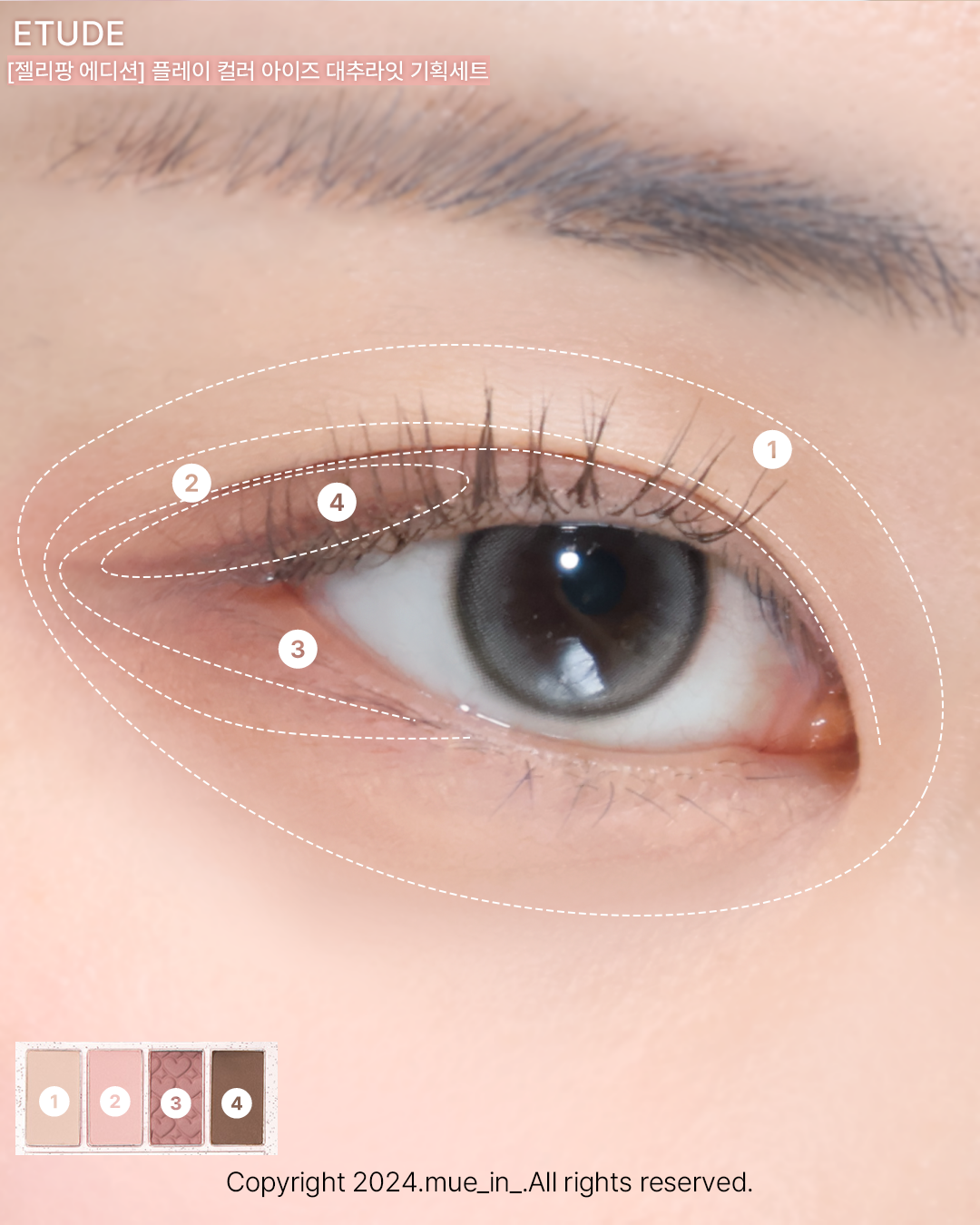 피드이미지정보-7