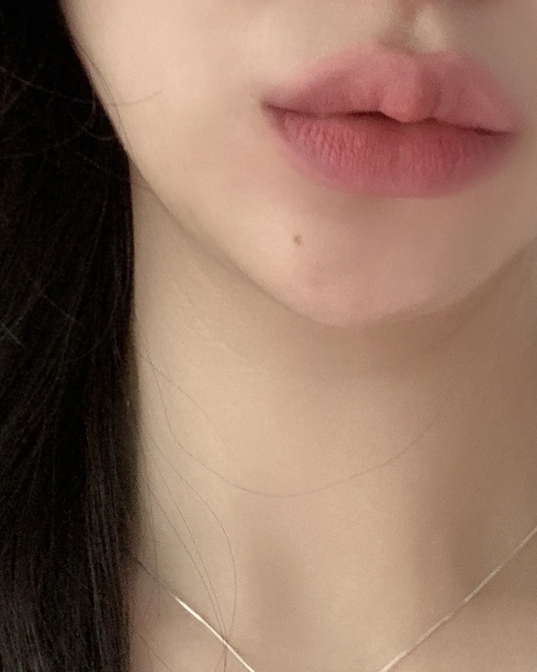 피드이미지정보-3