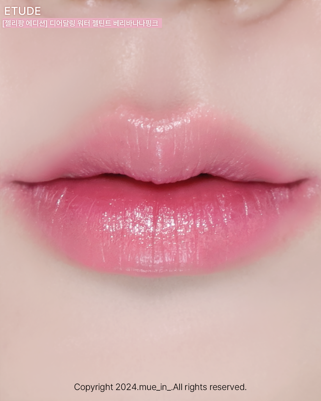 피드이미지정보-1