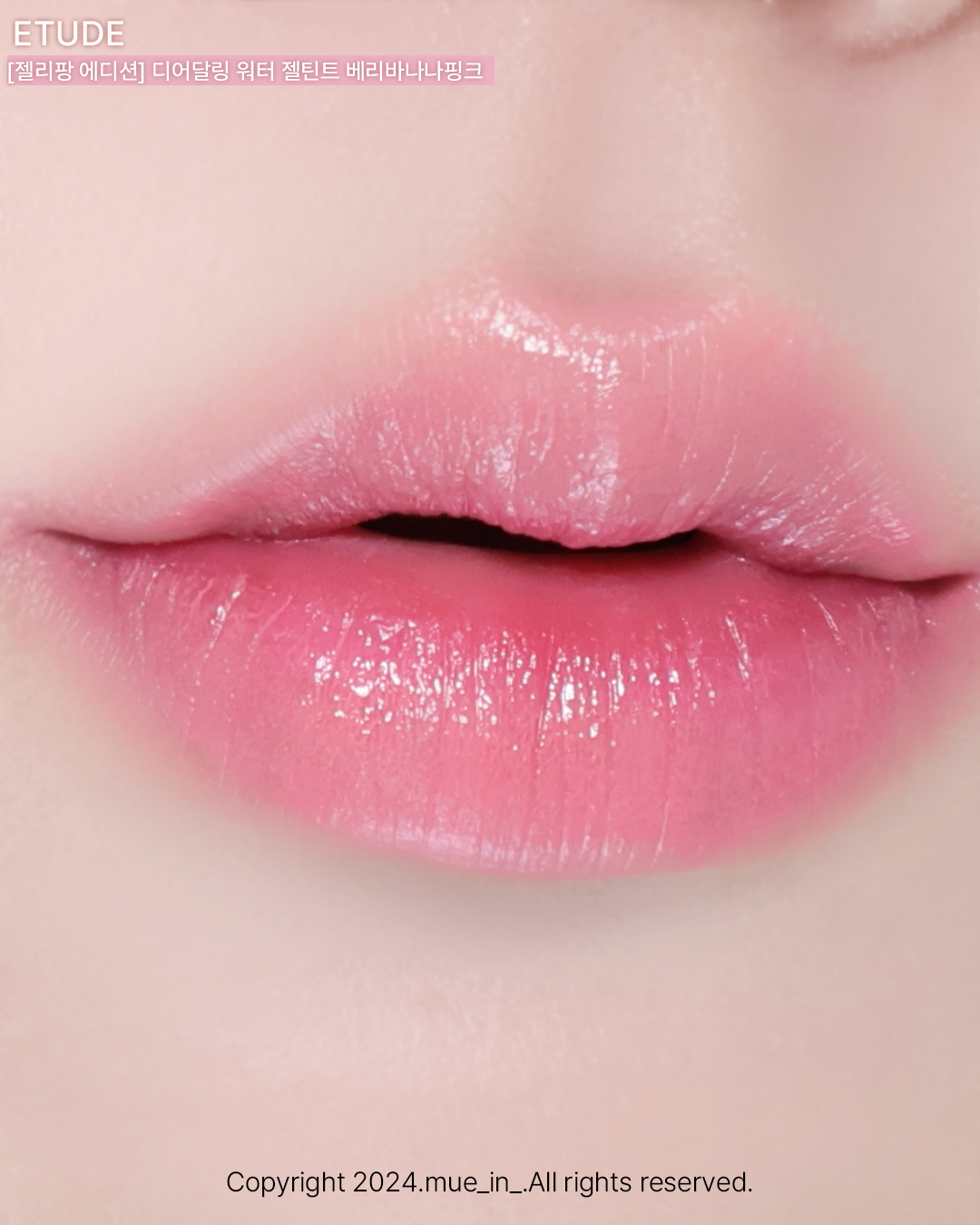 피드이미지정보-2