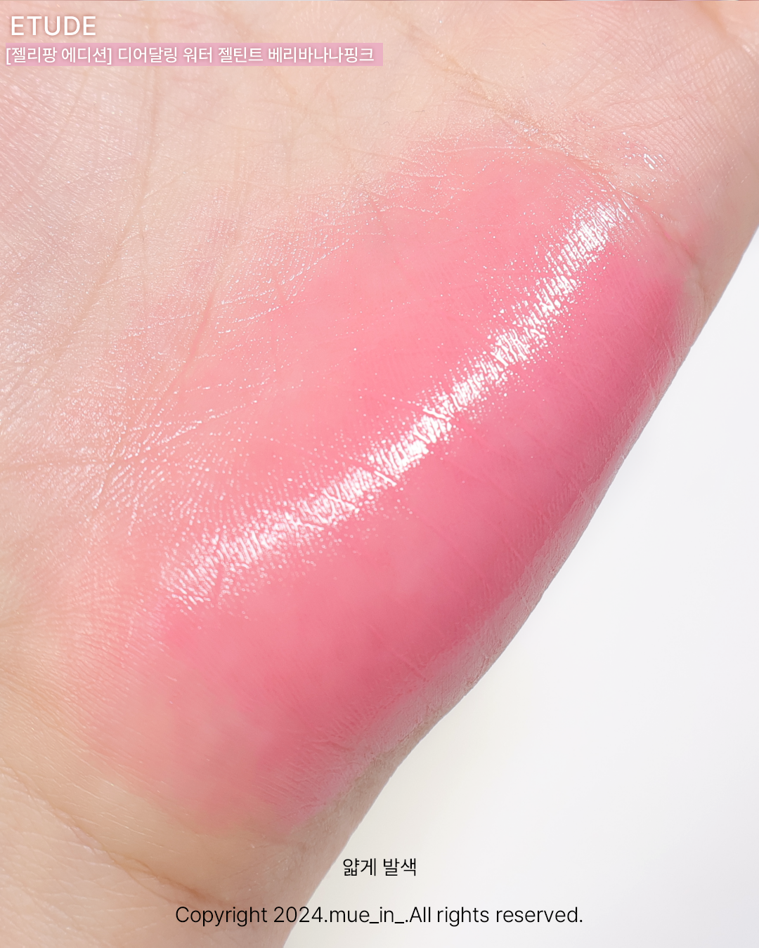 피드이미지정보-5