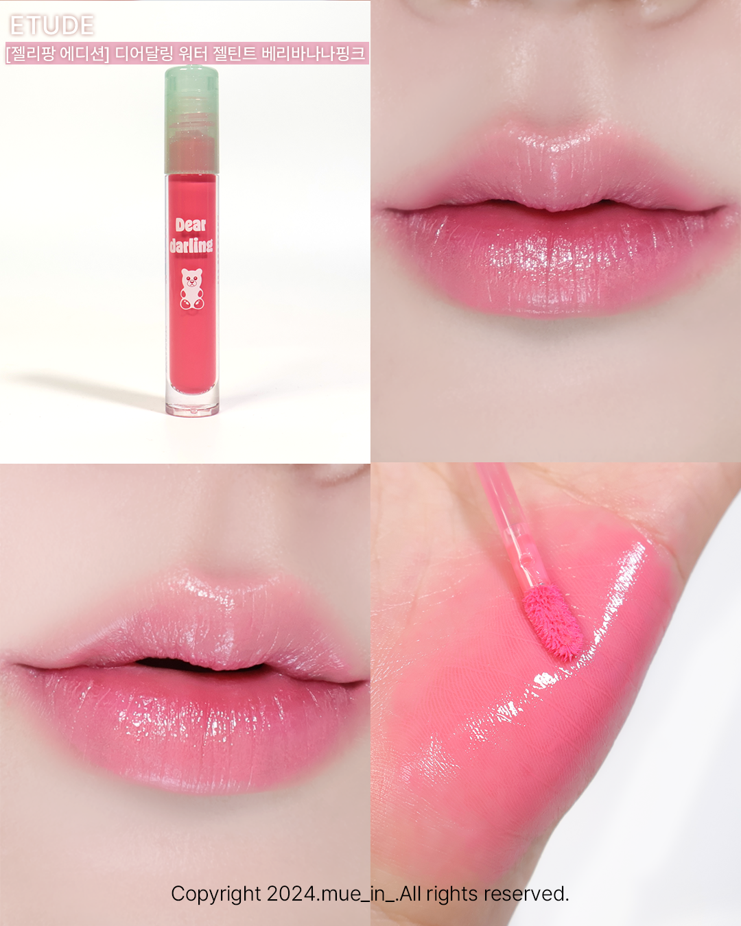 피드이미지정보-0