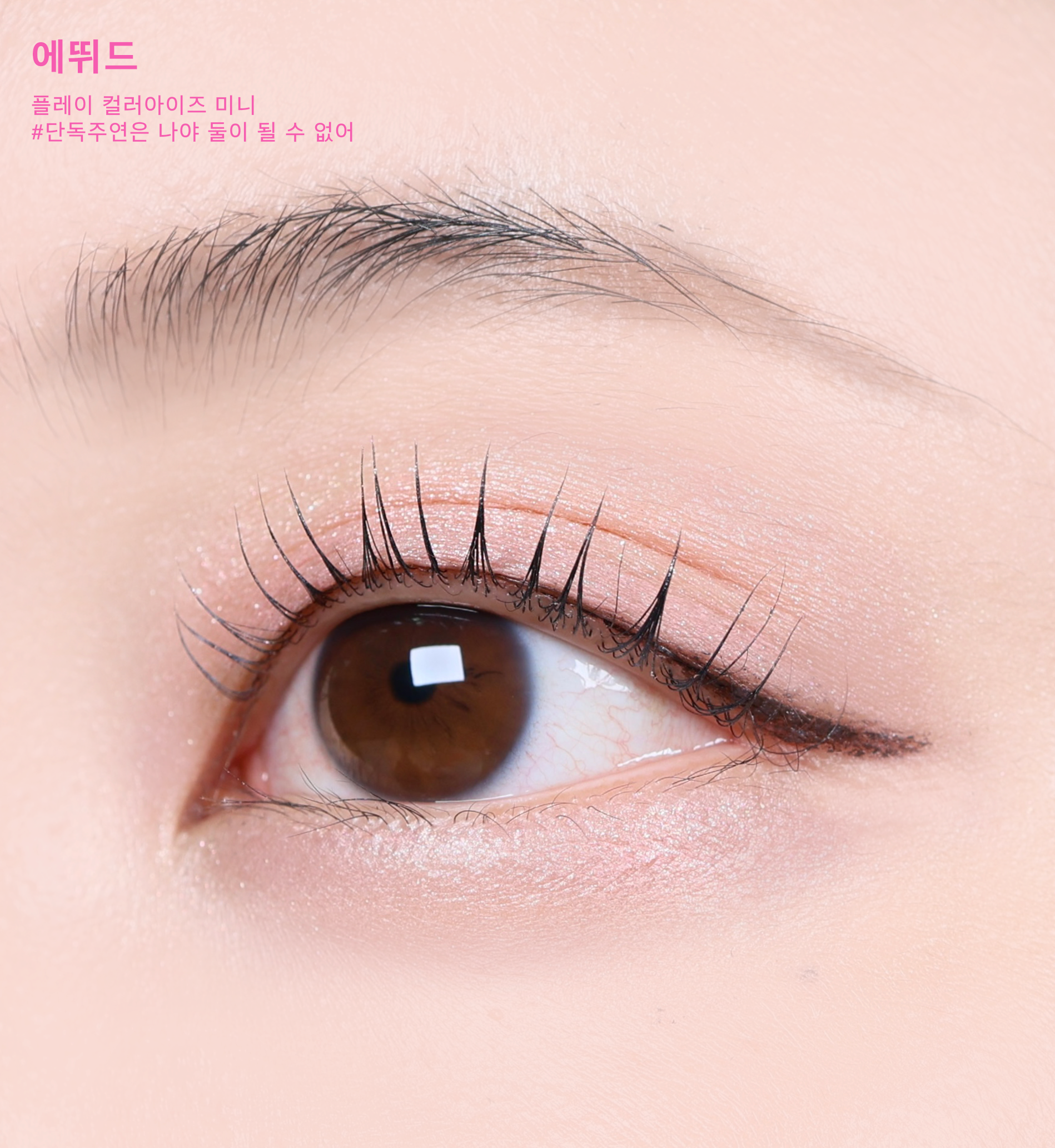 피드이미지정보-1