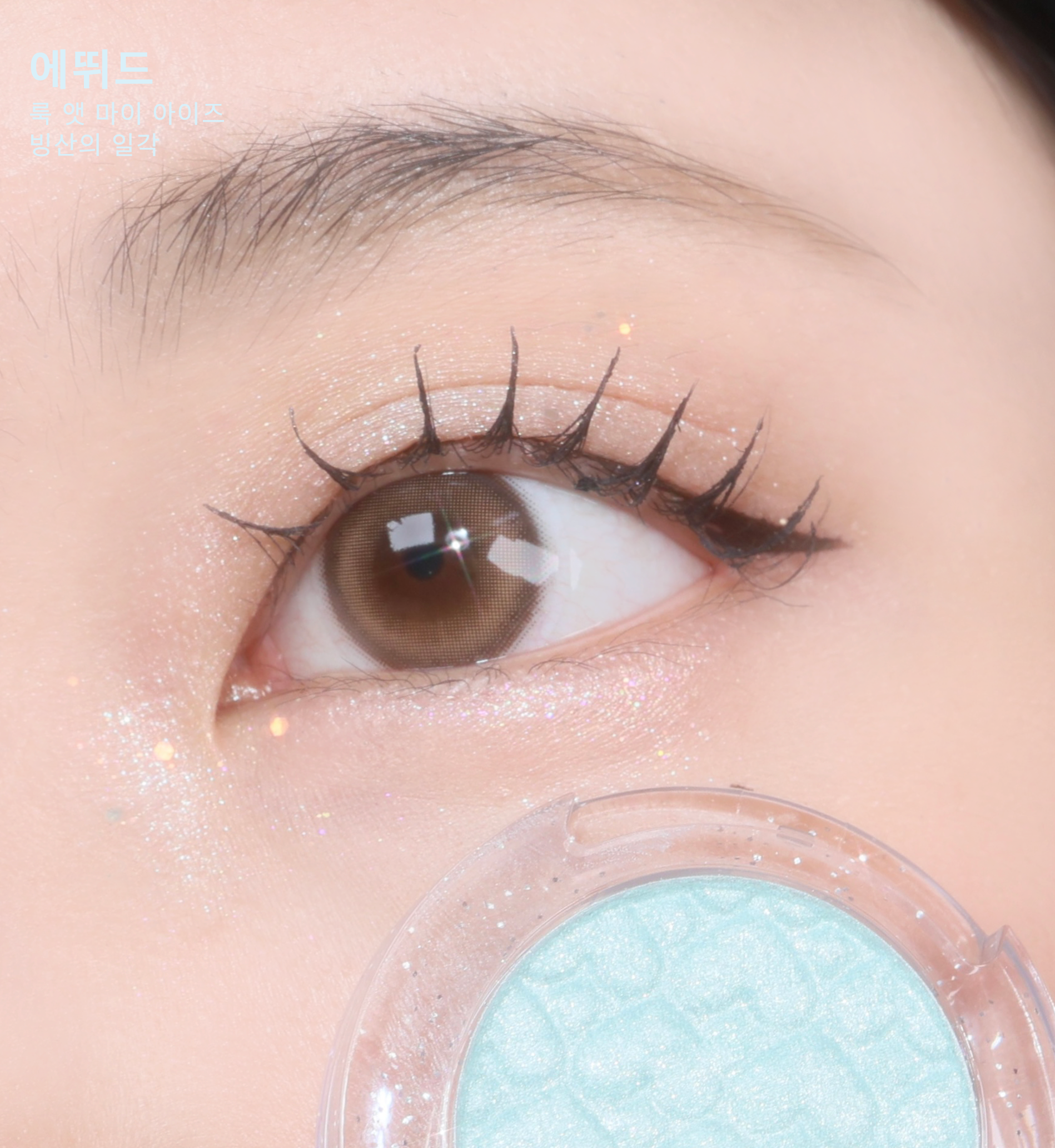 피드이미지정보-0