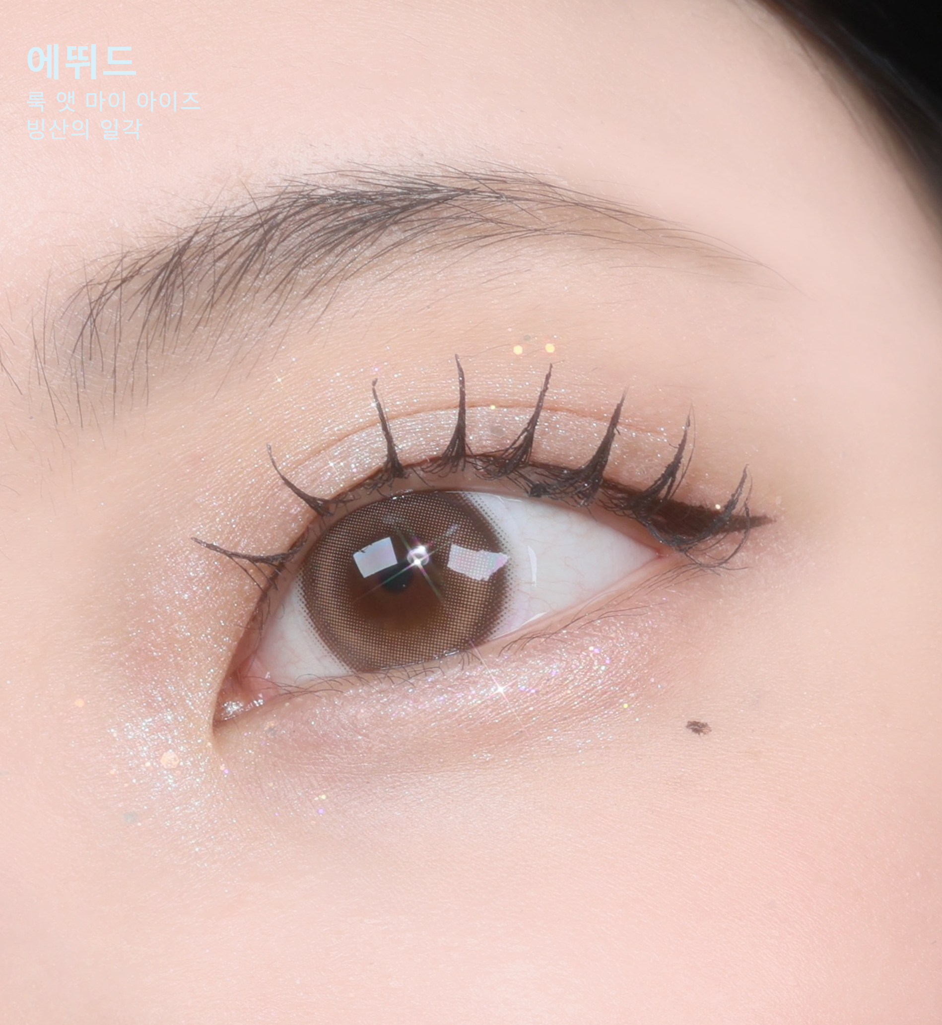 피드이미지정보-1