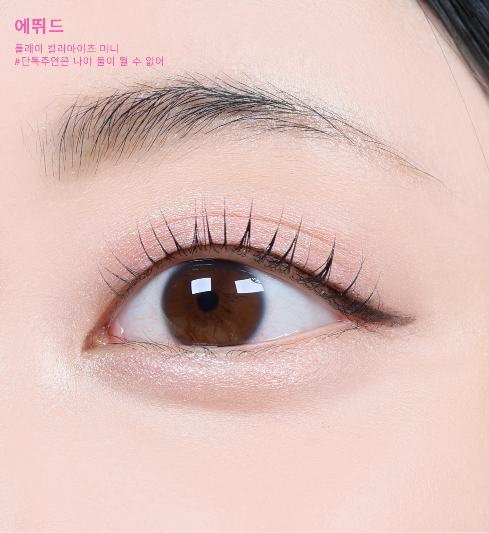 피드이미지정보-4