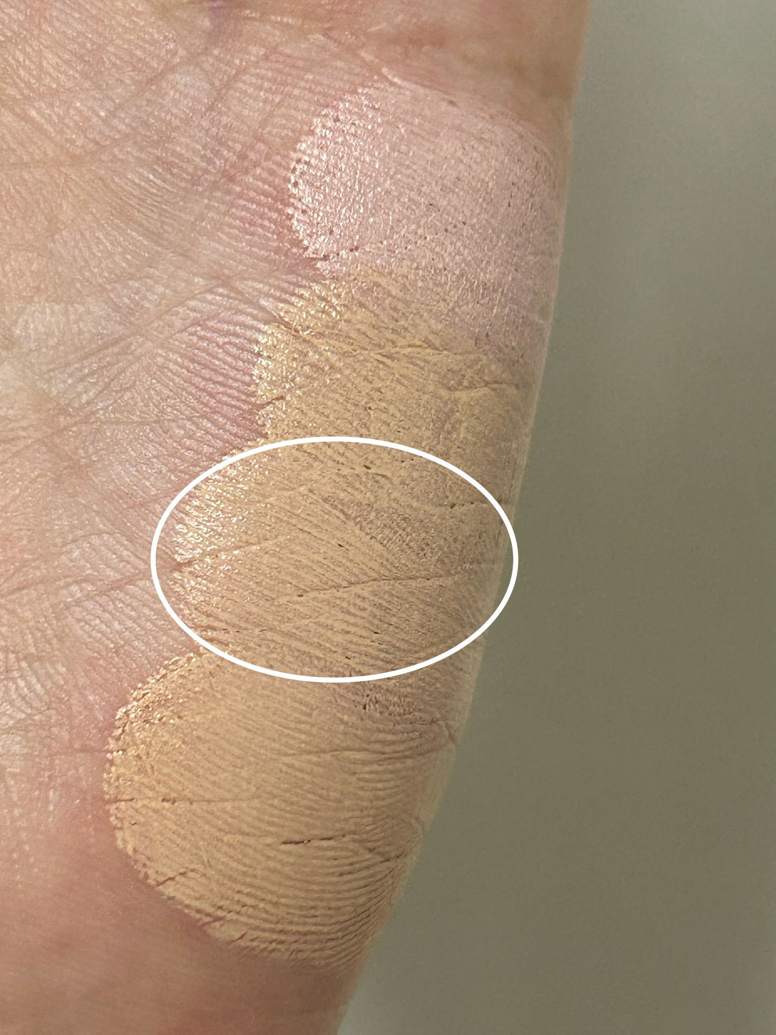 피드이미지정보-4