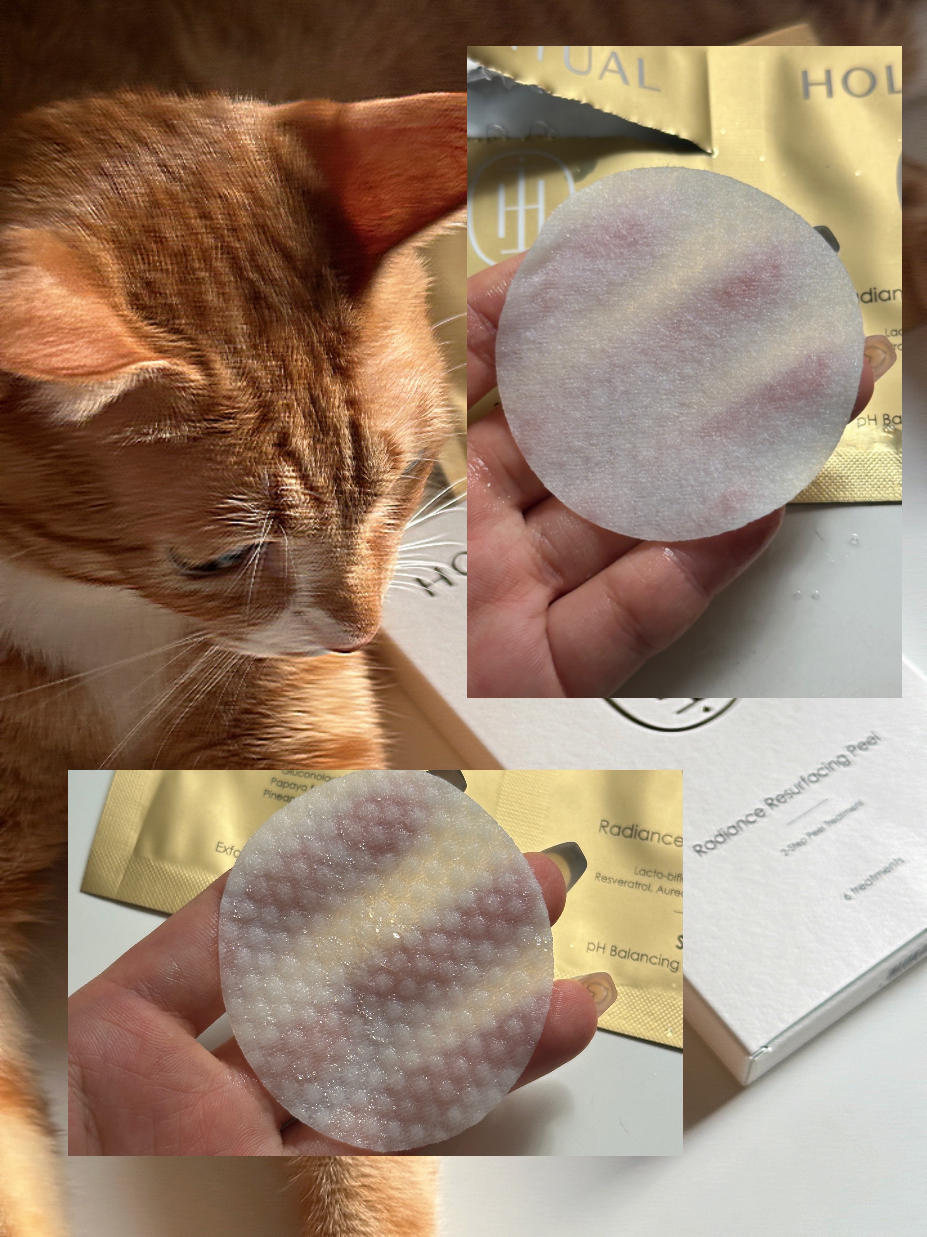 피드이미지정보-2