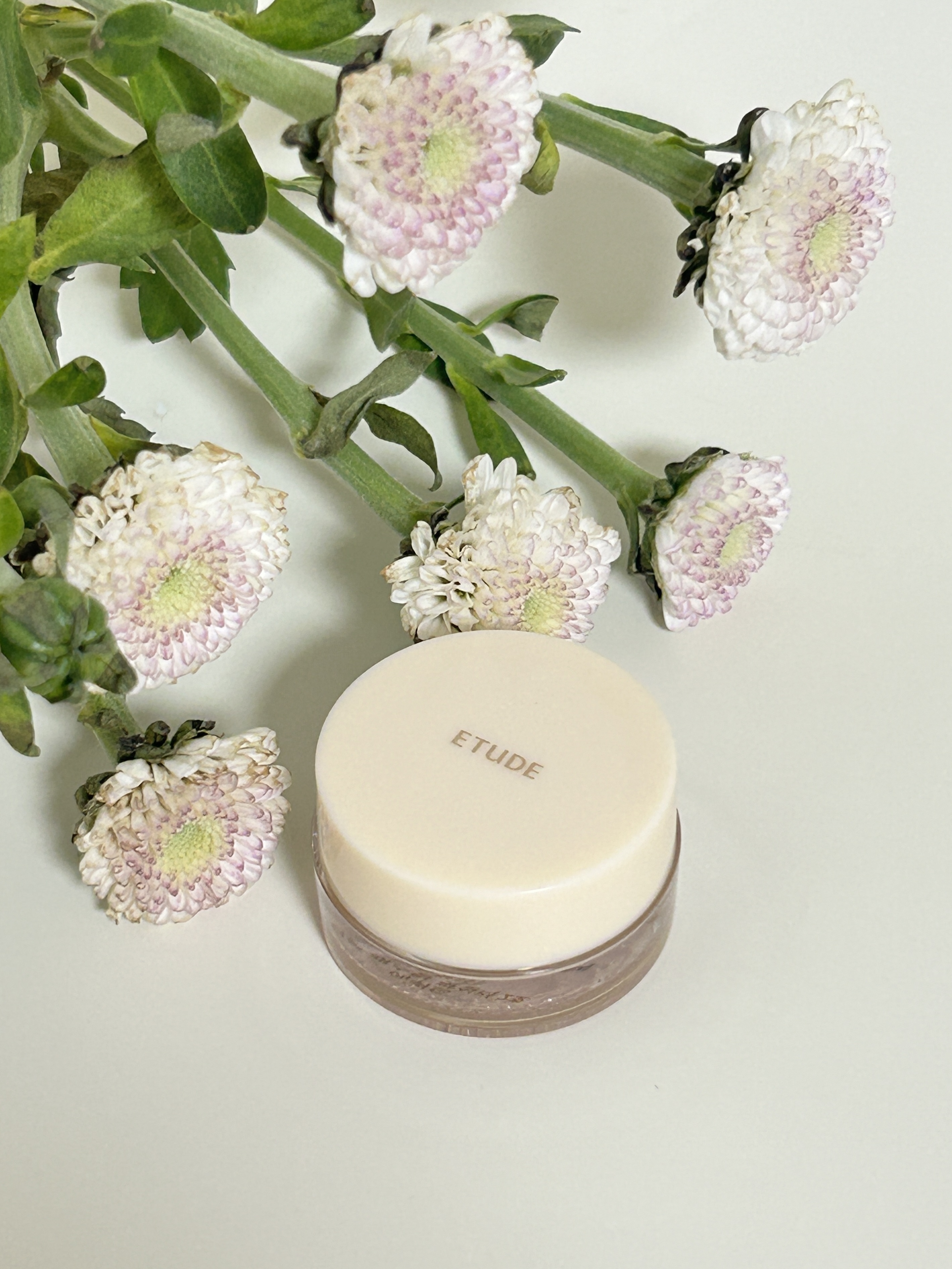 피드이미지정보-2