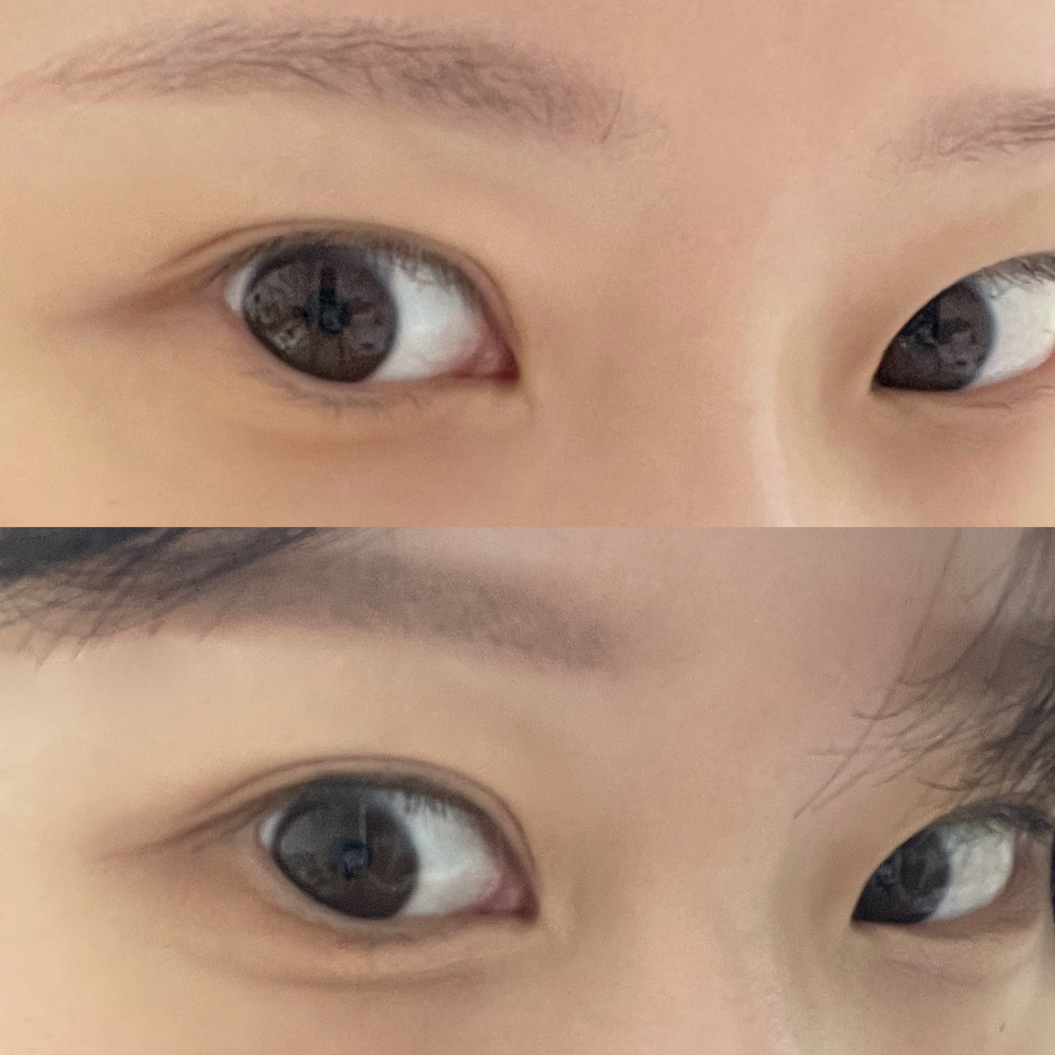 피드이미지정보-2