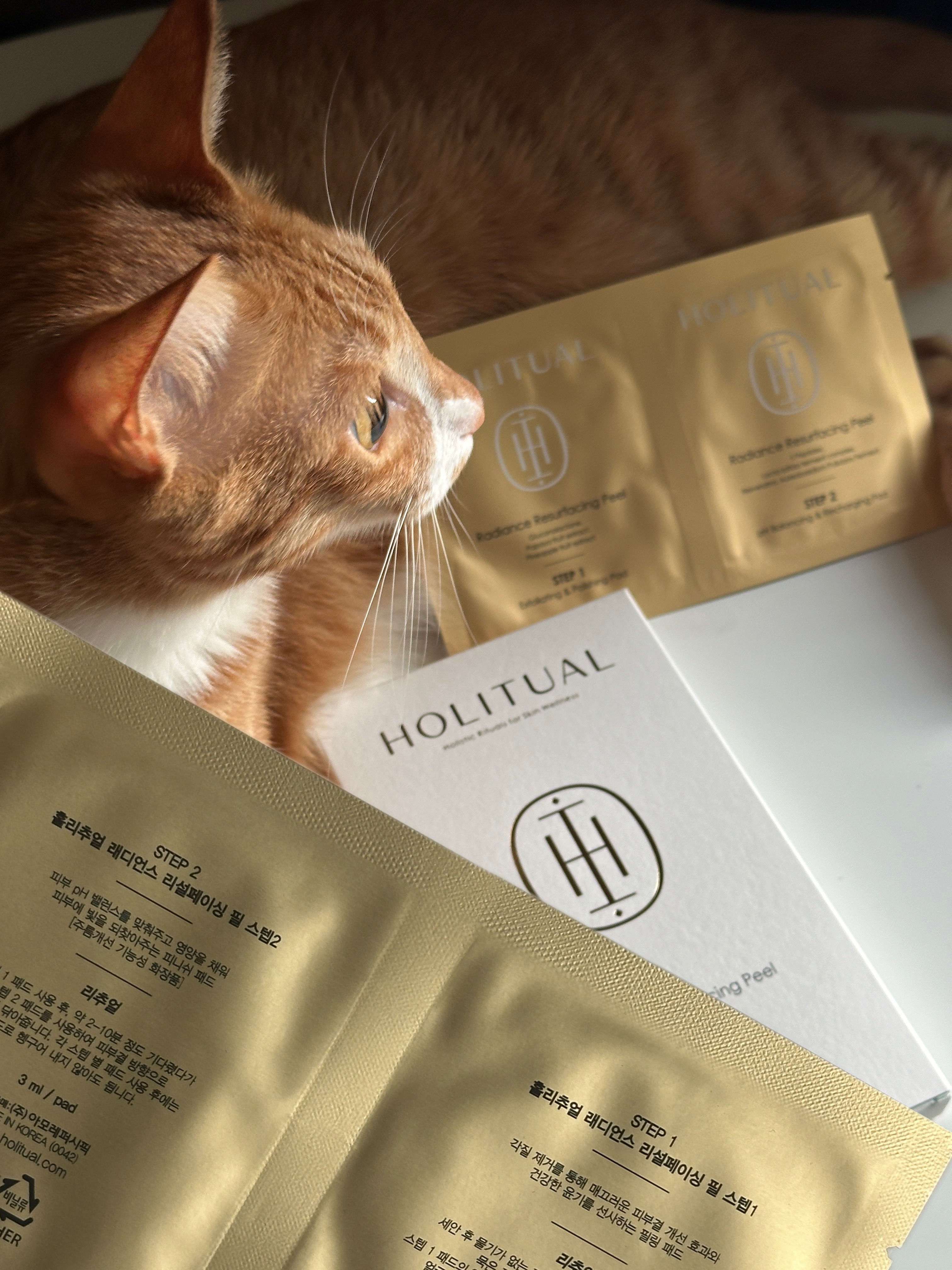 피드이미지정보-3