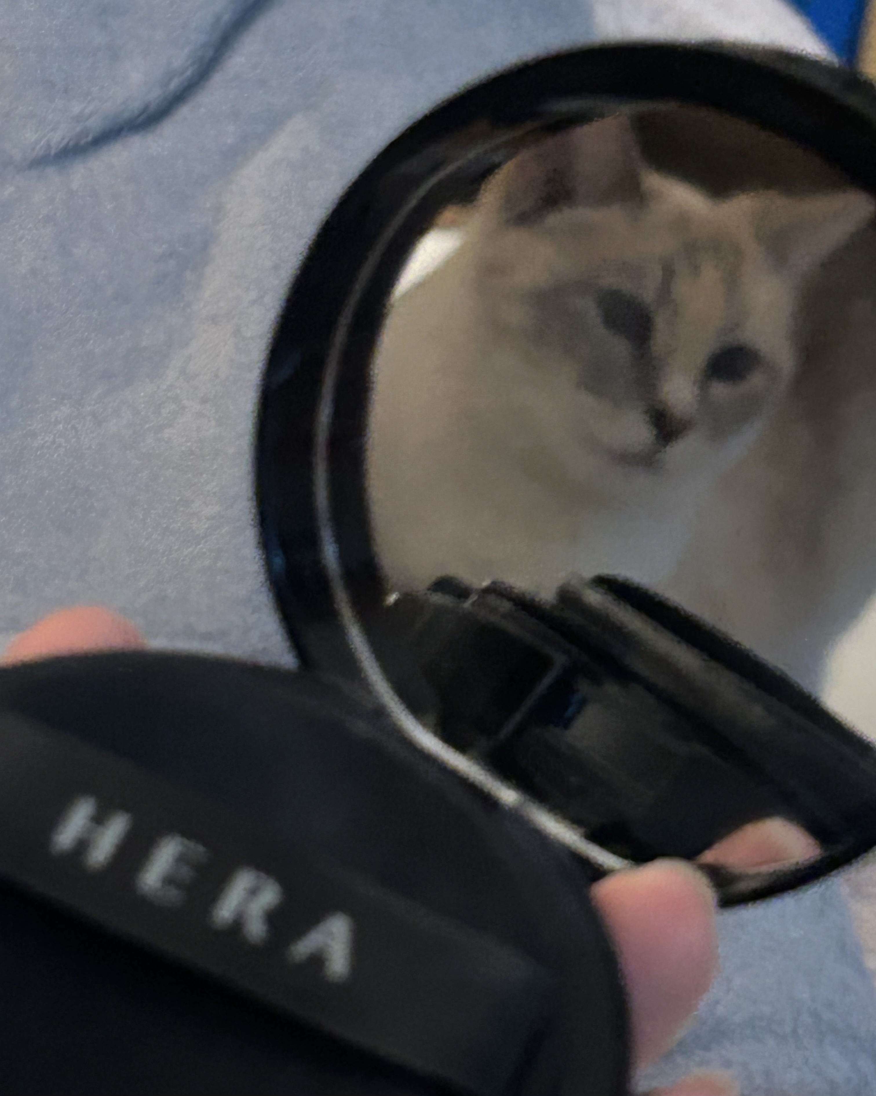 피드이미지정보-0