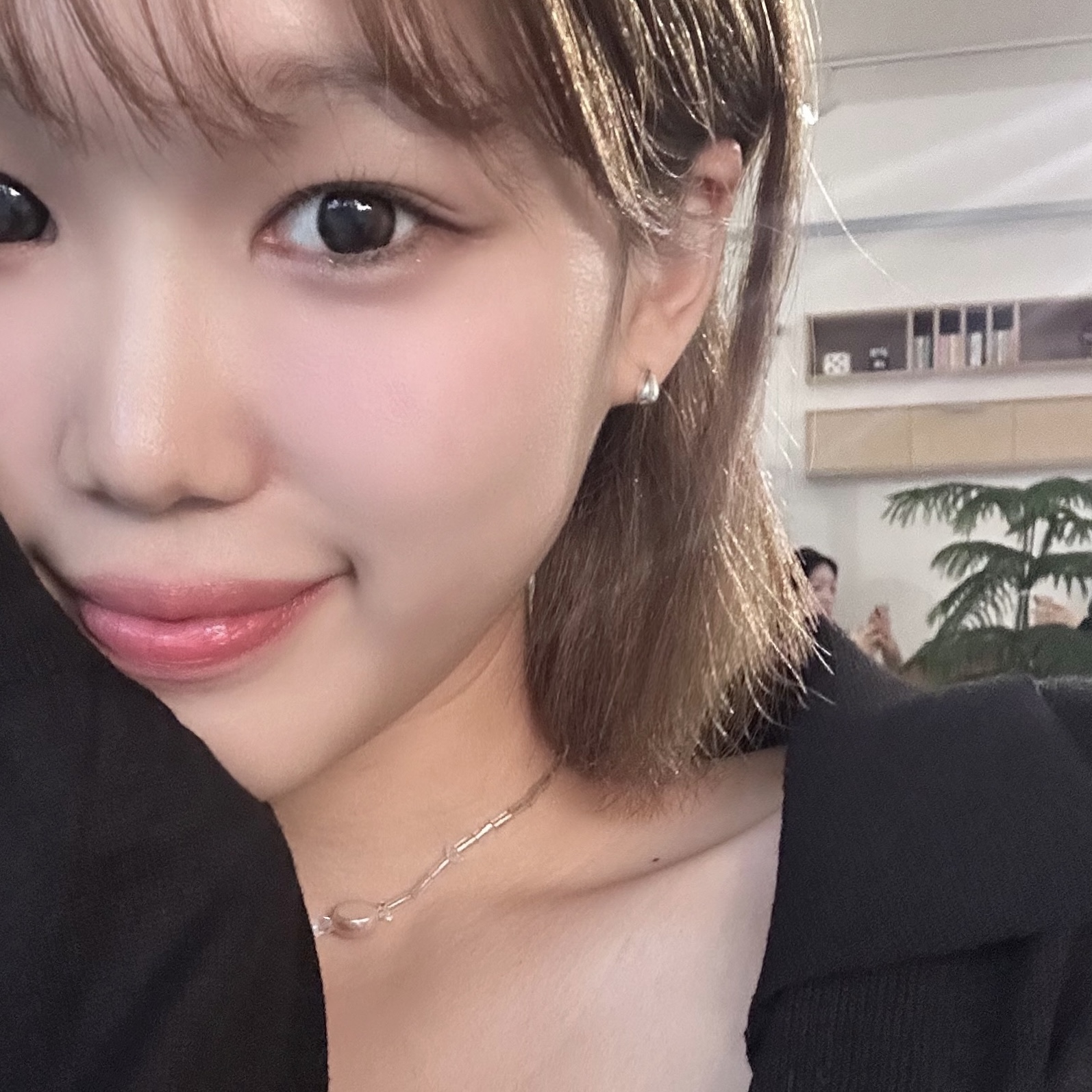 피드이미지정보-0