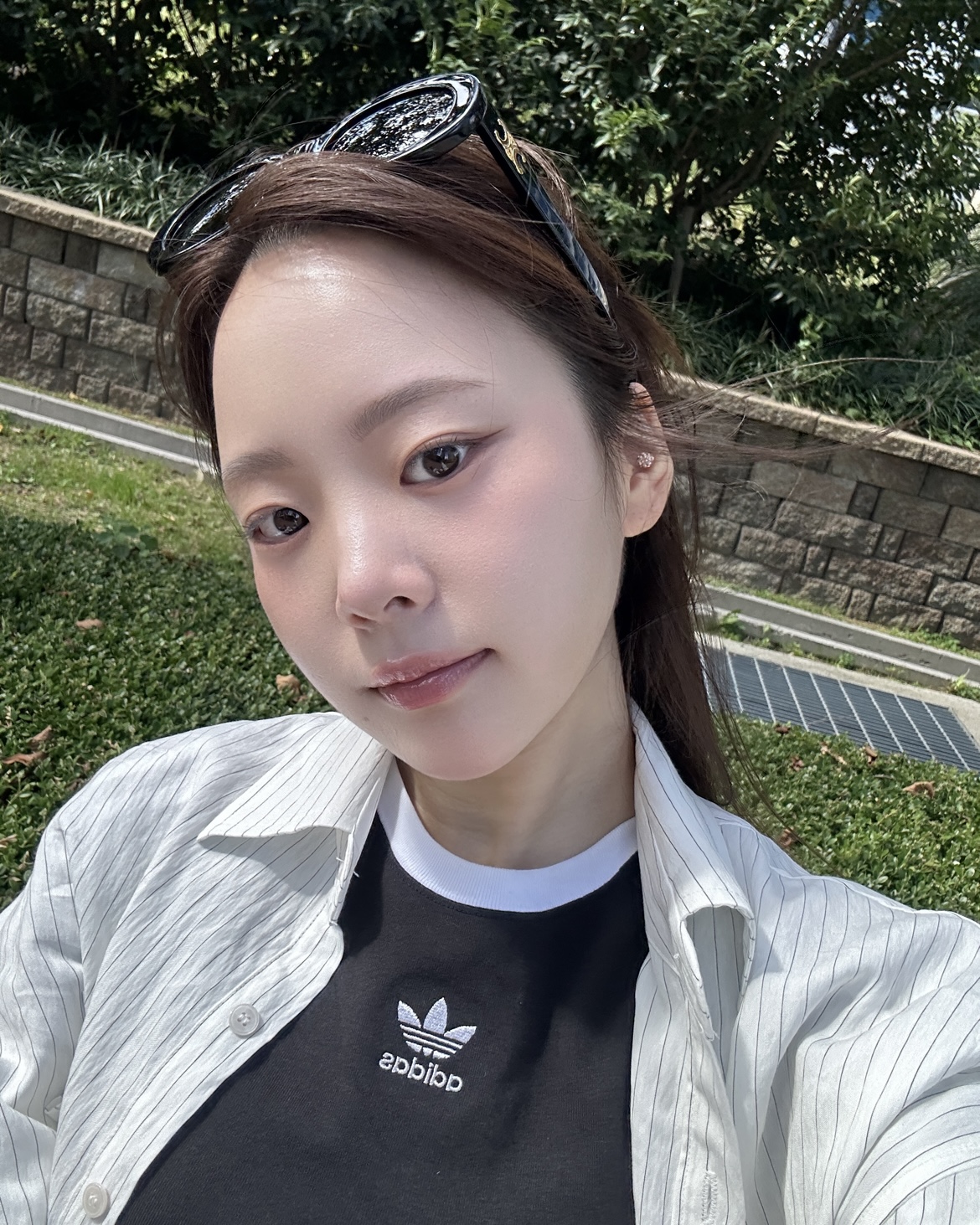 피드이미지정보-0