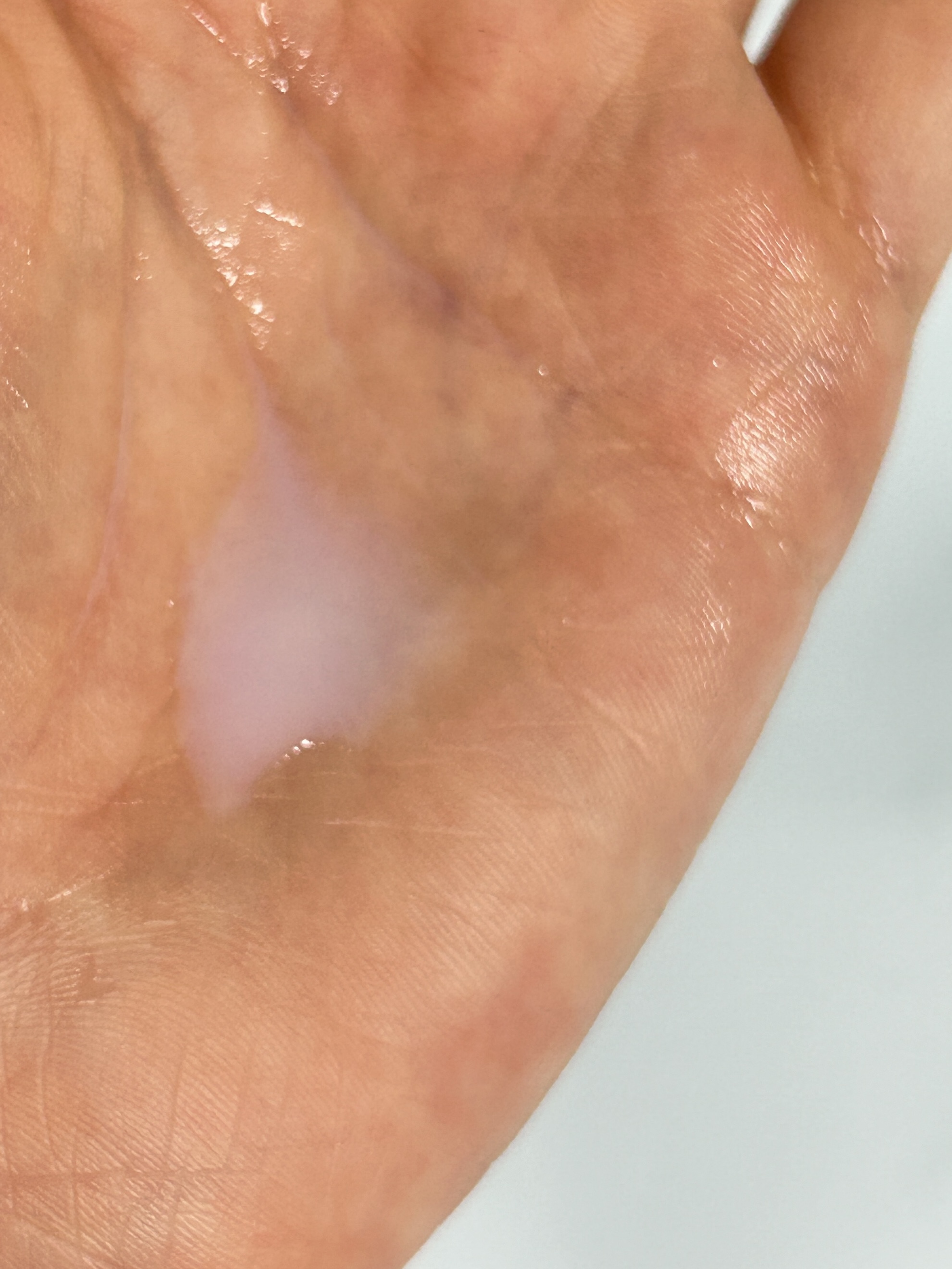 피드이미지정보-1