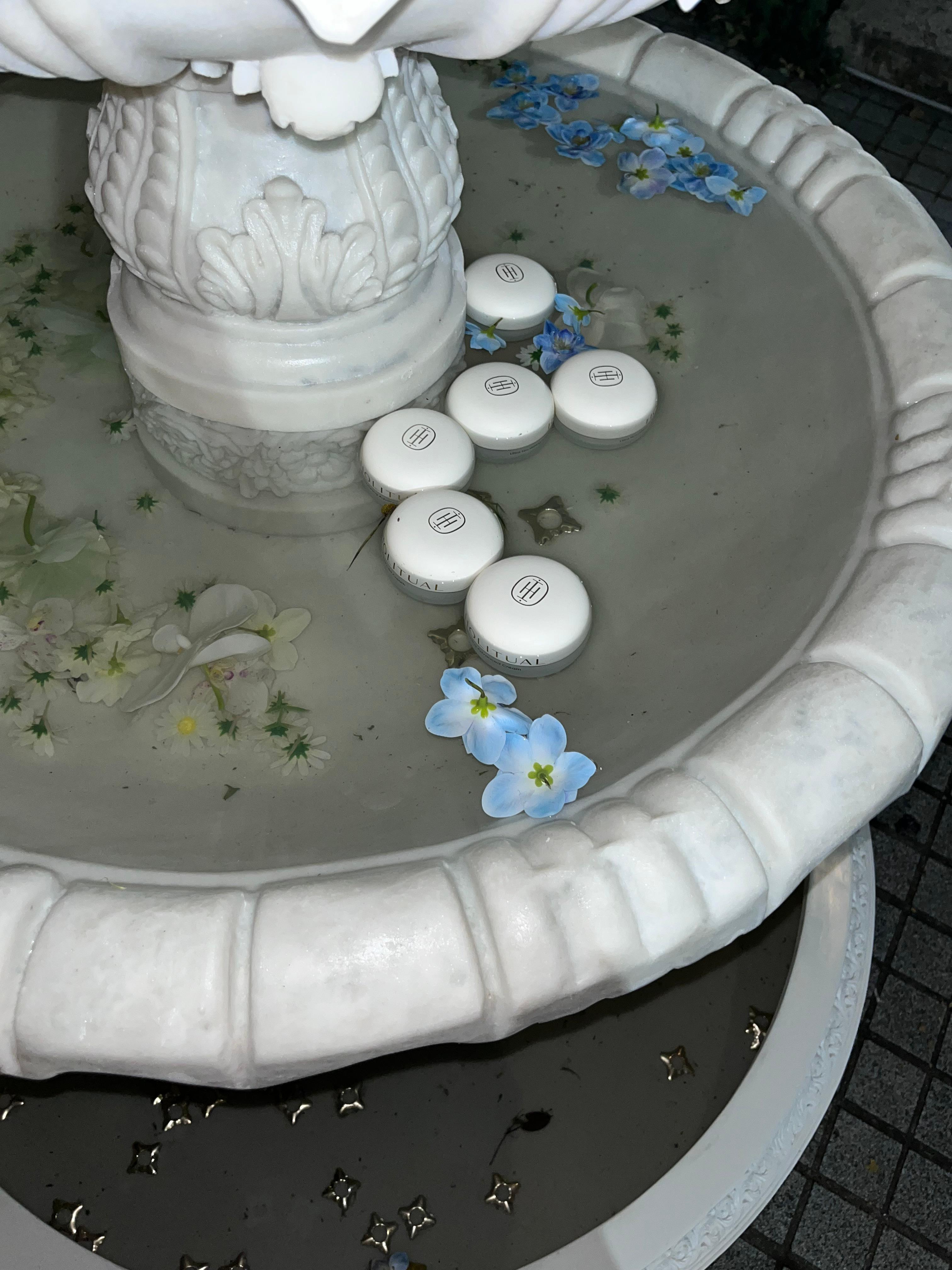 피드이미지정보-7