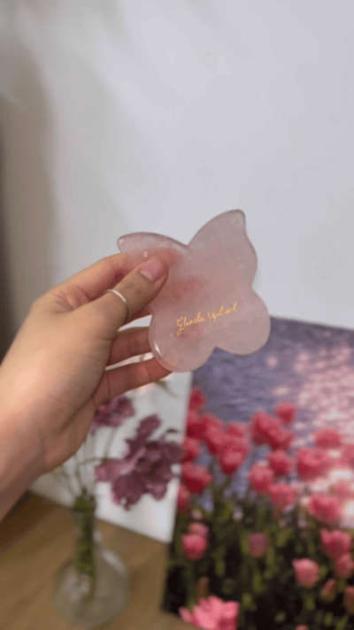 피드이미지정보-3