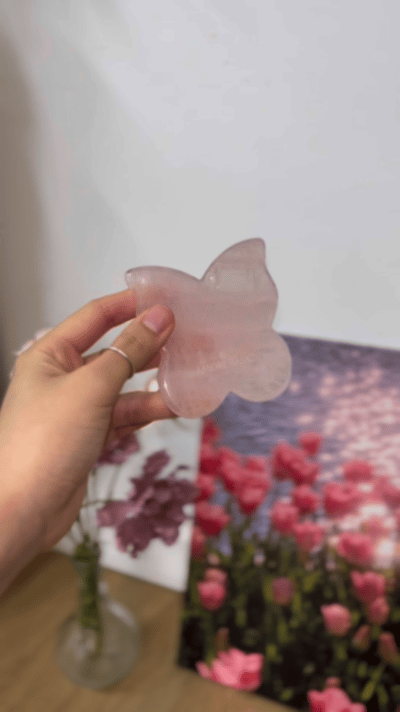 피드이미지정보-4