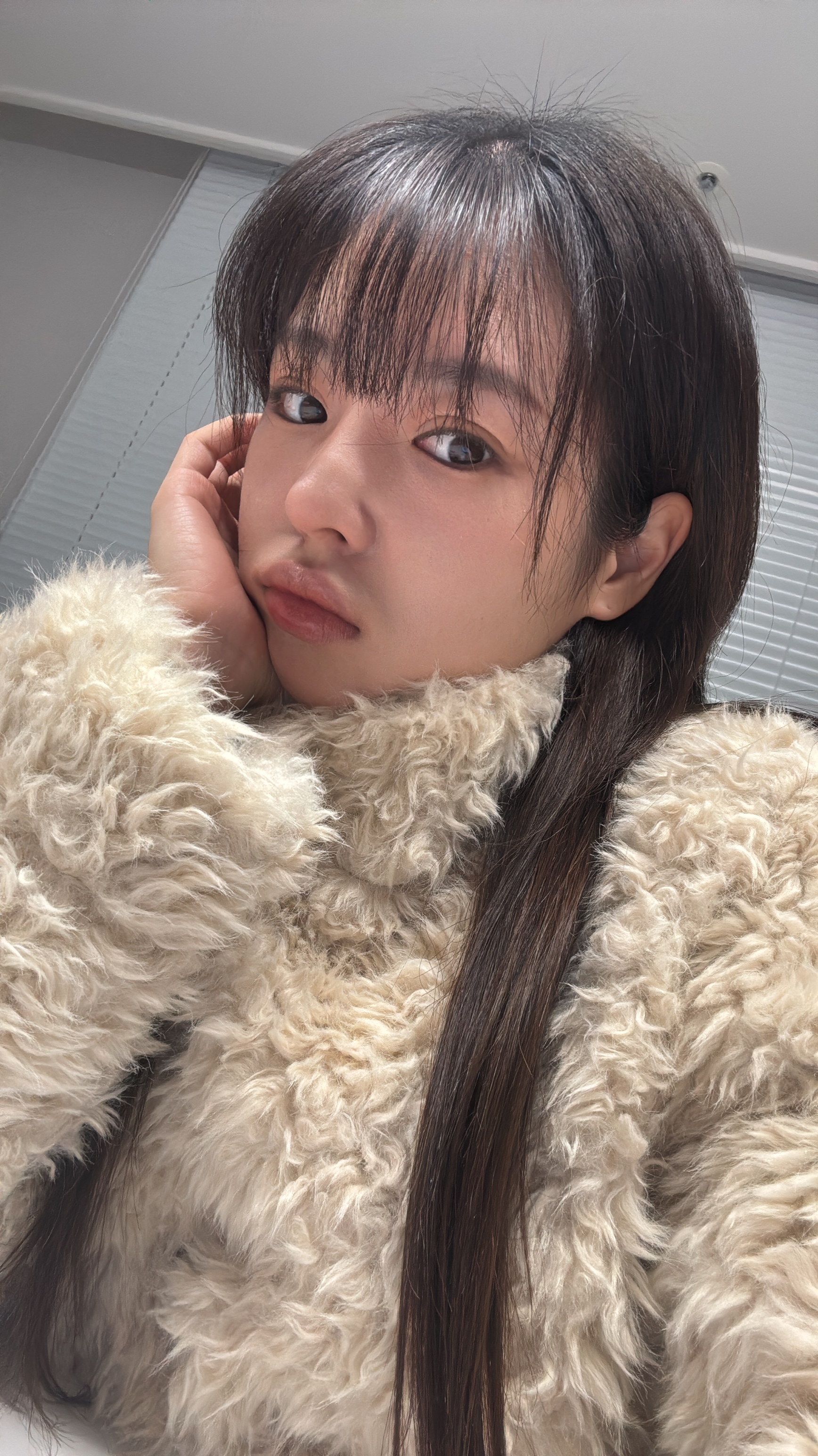 피드이미지정보-4