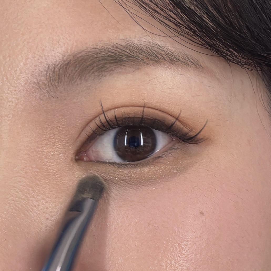 피드이미지정보-3