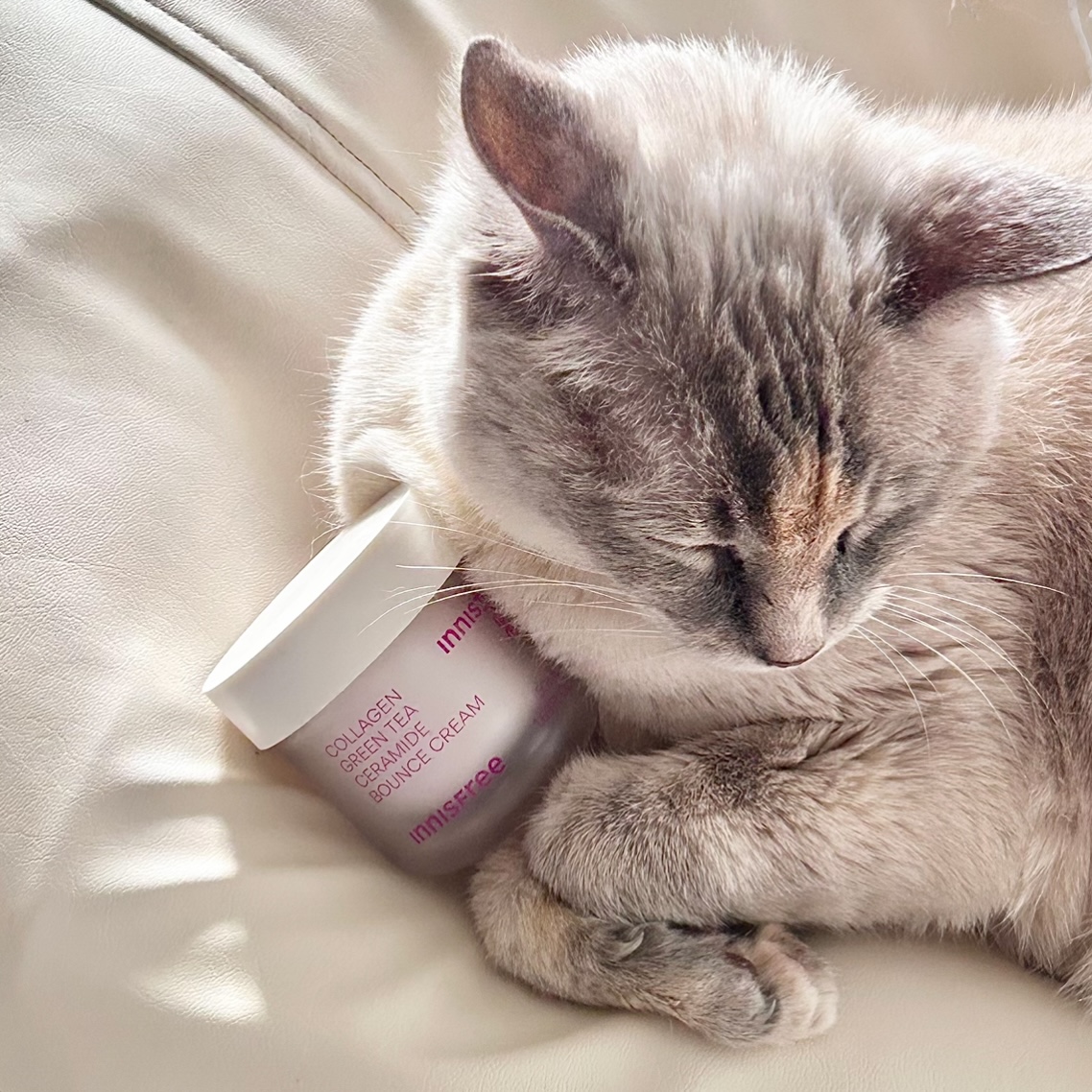 피드이미지정보-6